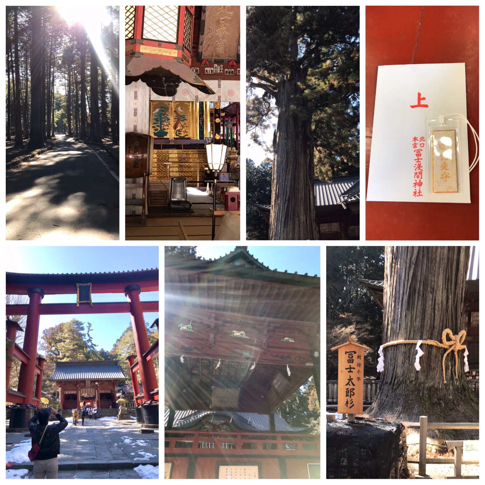 f:id:hatakofuru:20210209192409j:plain