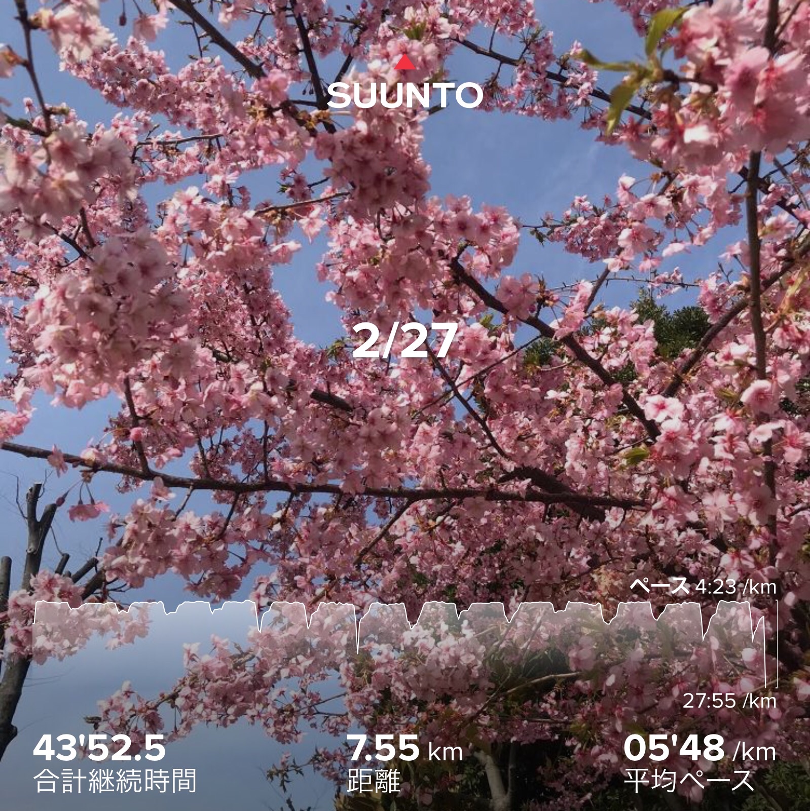 f:id:hatakofuru:20210227201715j:plain