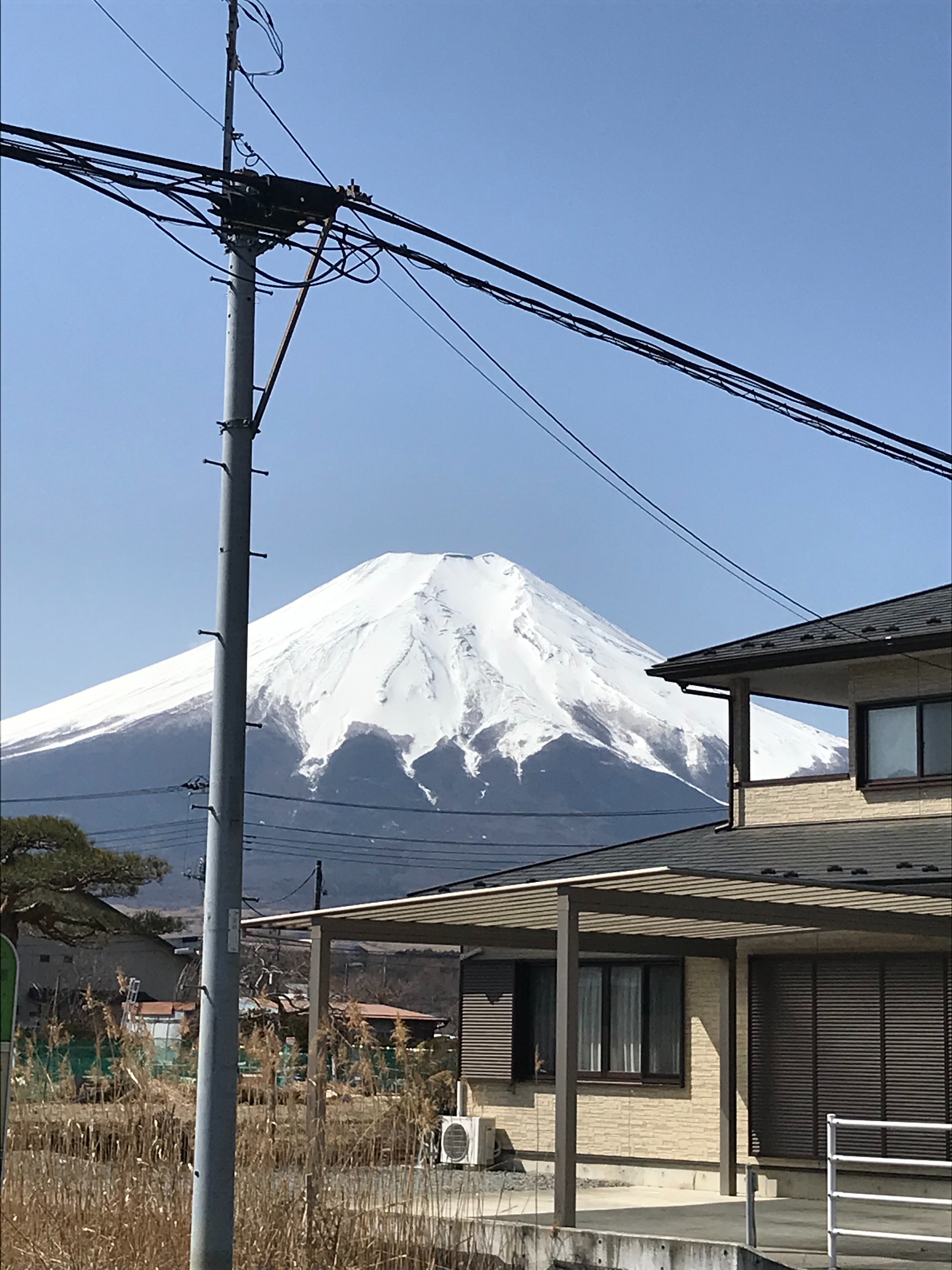 f:id:hatakofuru:20210319224212j:plain