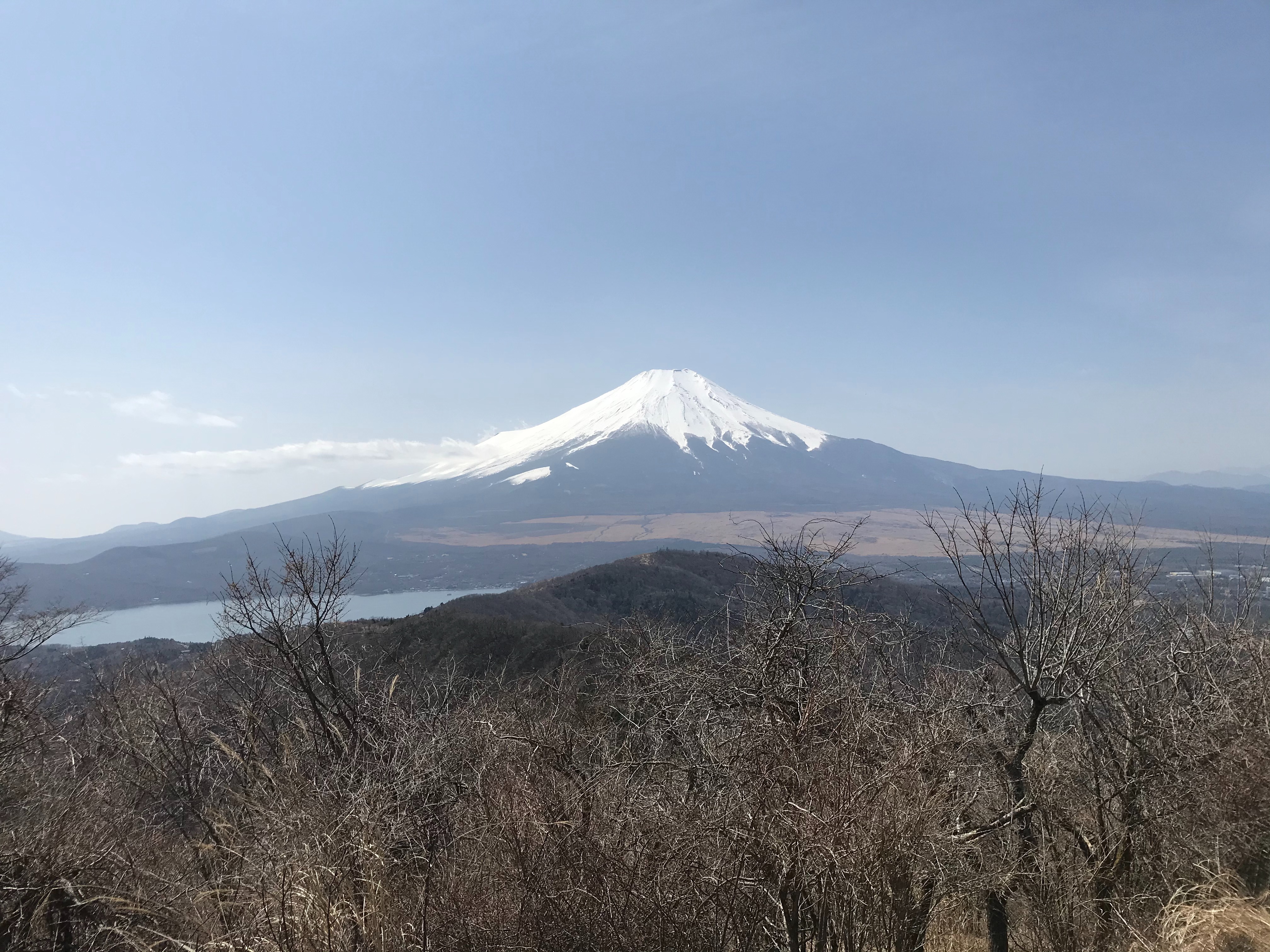 f:id:hatakofuru:20210319224344j:plain