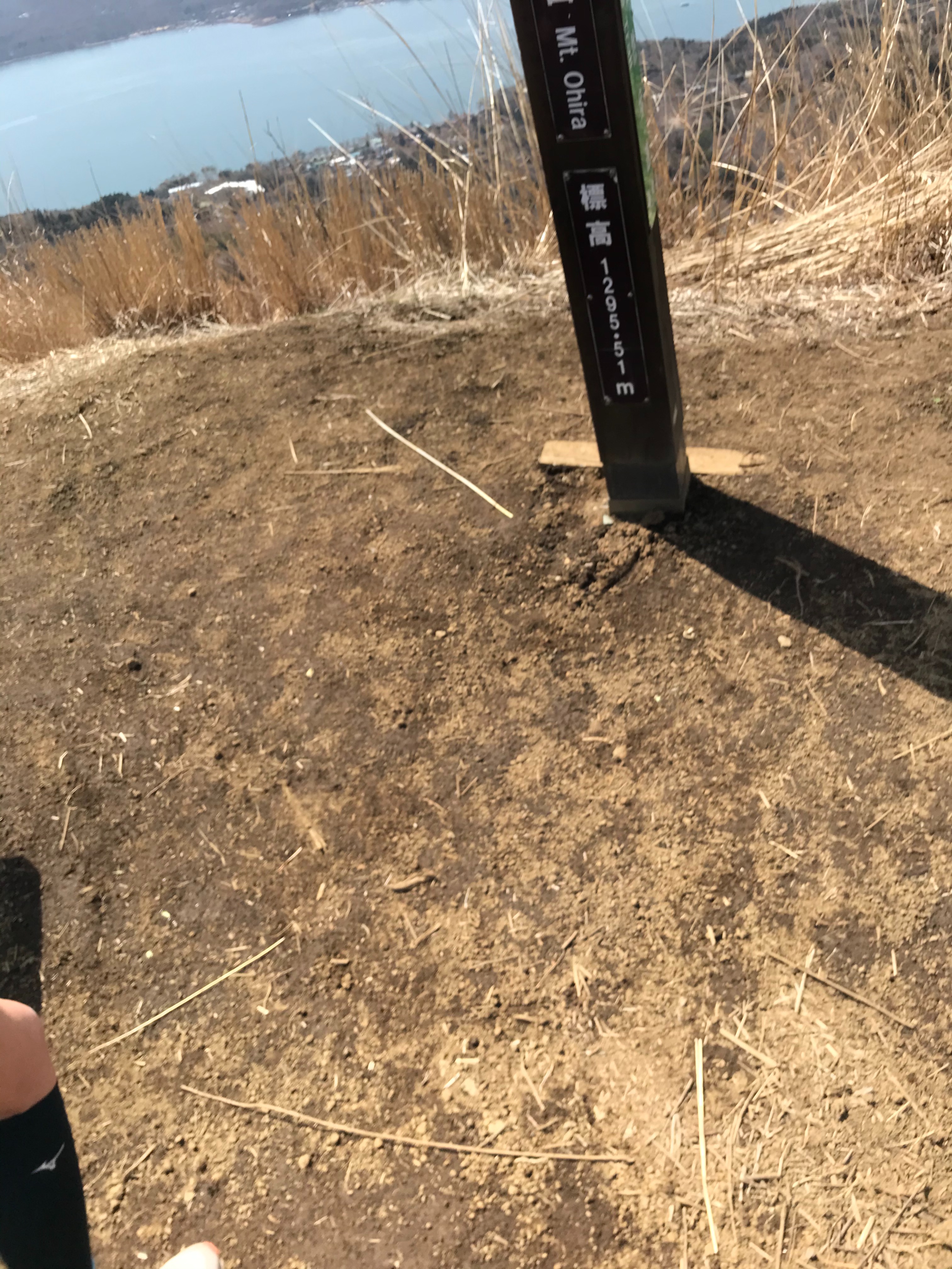 f:id:hatakofuru:20210319224430j:plain
