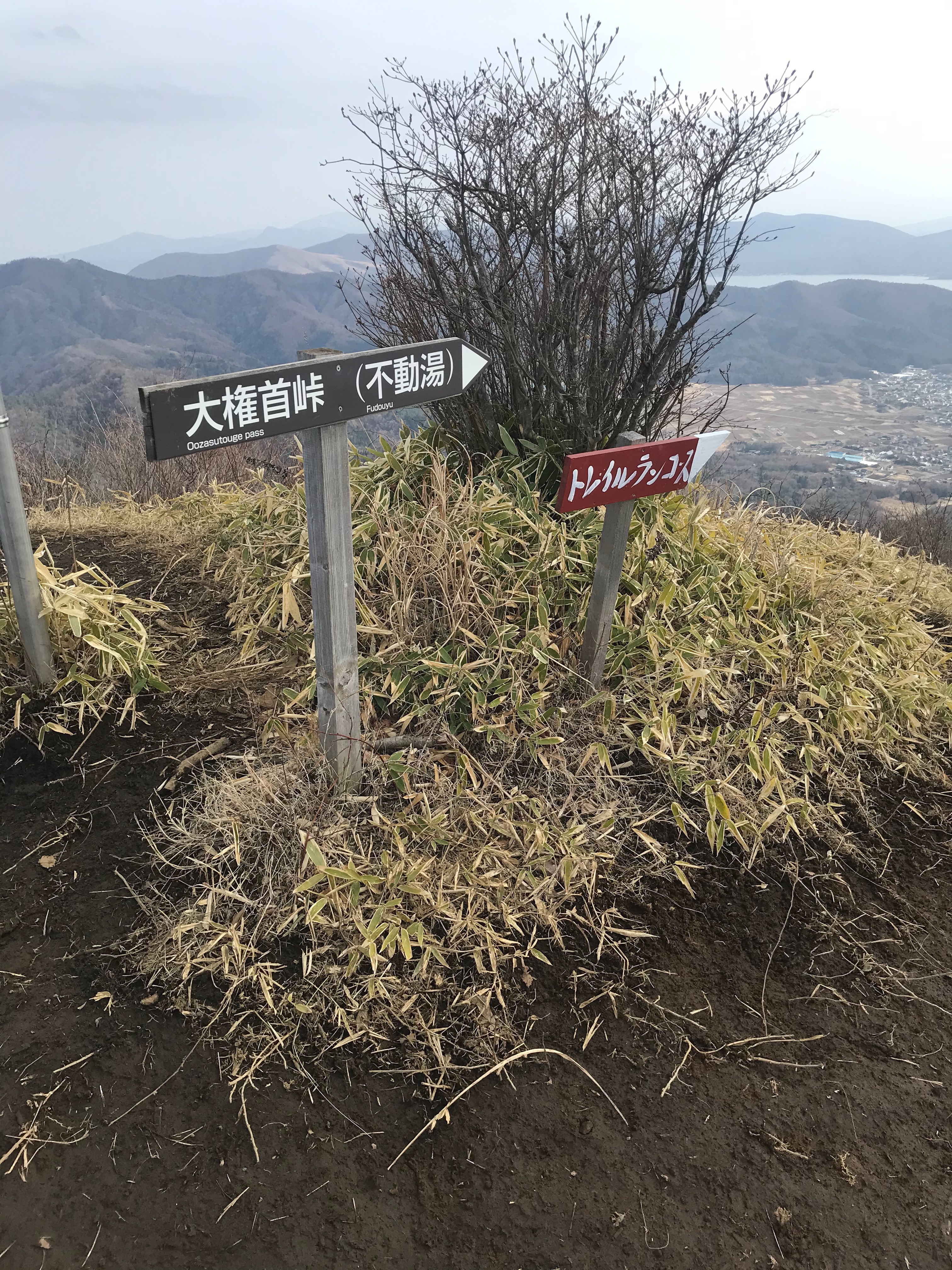 f:id:hatakofuru:20210320204003j:plain
