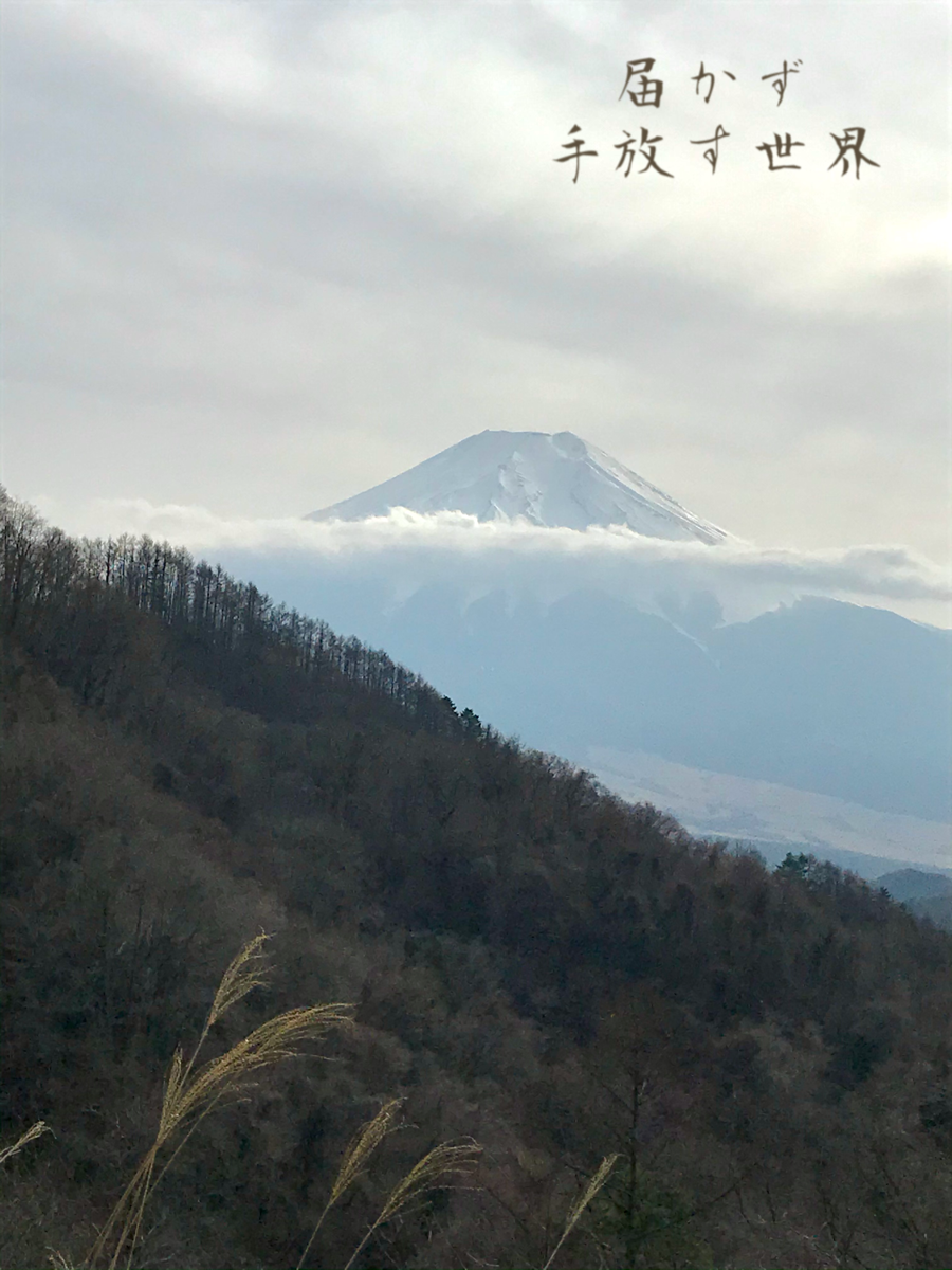 f:id:hatakofuru:20210324091005p:plain