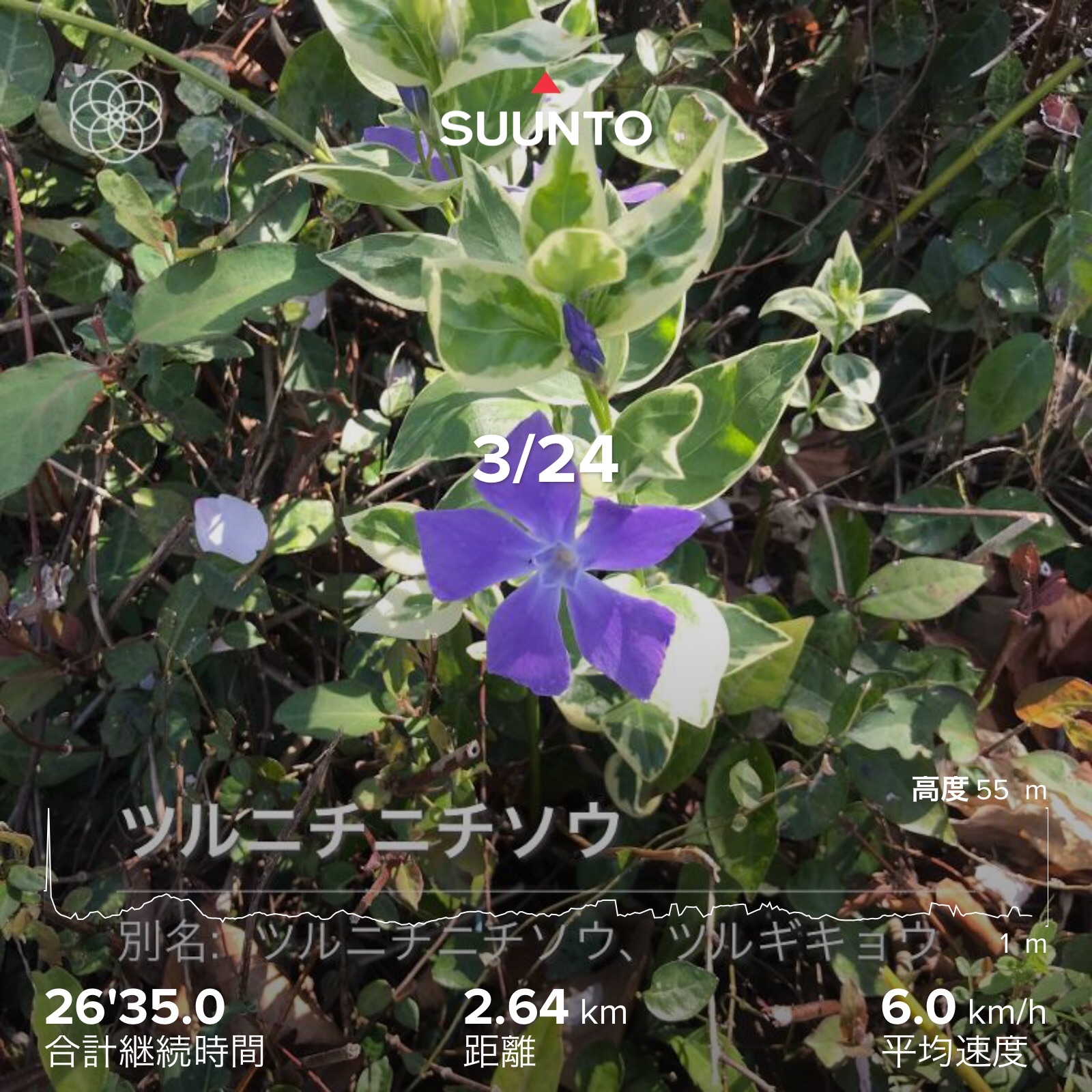 f:id:hatakofuru:20210326171110j:plain