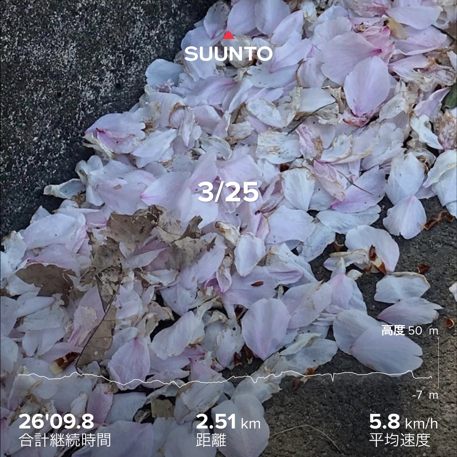 f:id:hatakofuru:20210326171116j:plain