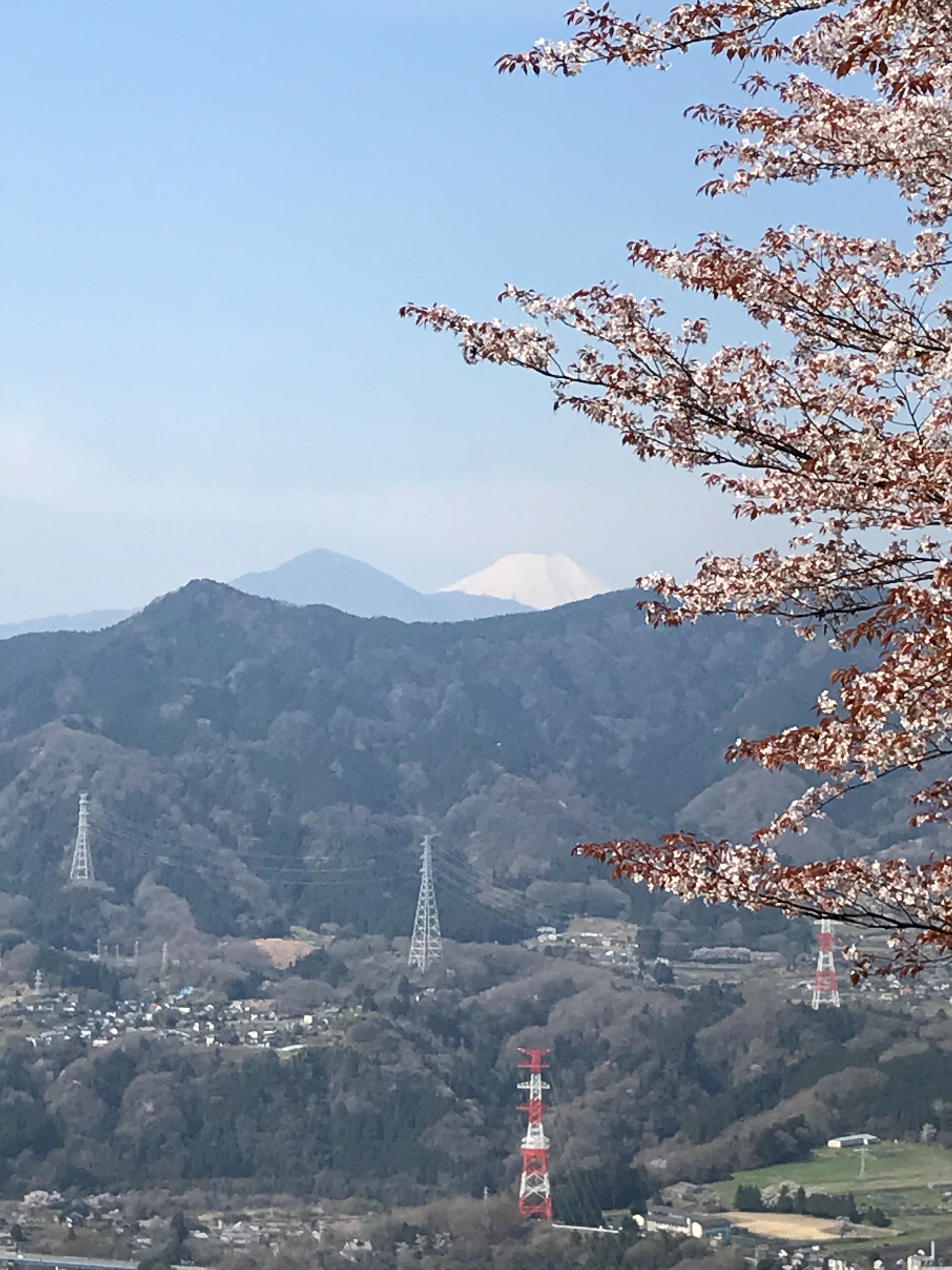f:id:hatakofuru:20210331170357j:plain