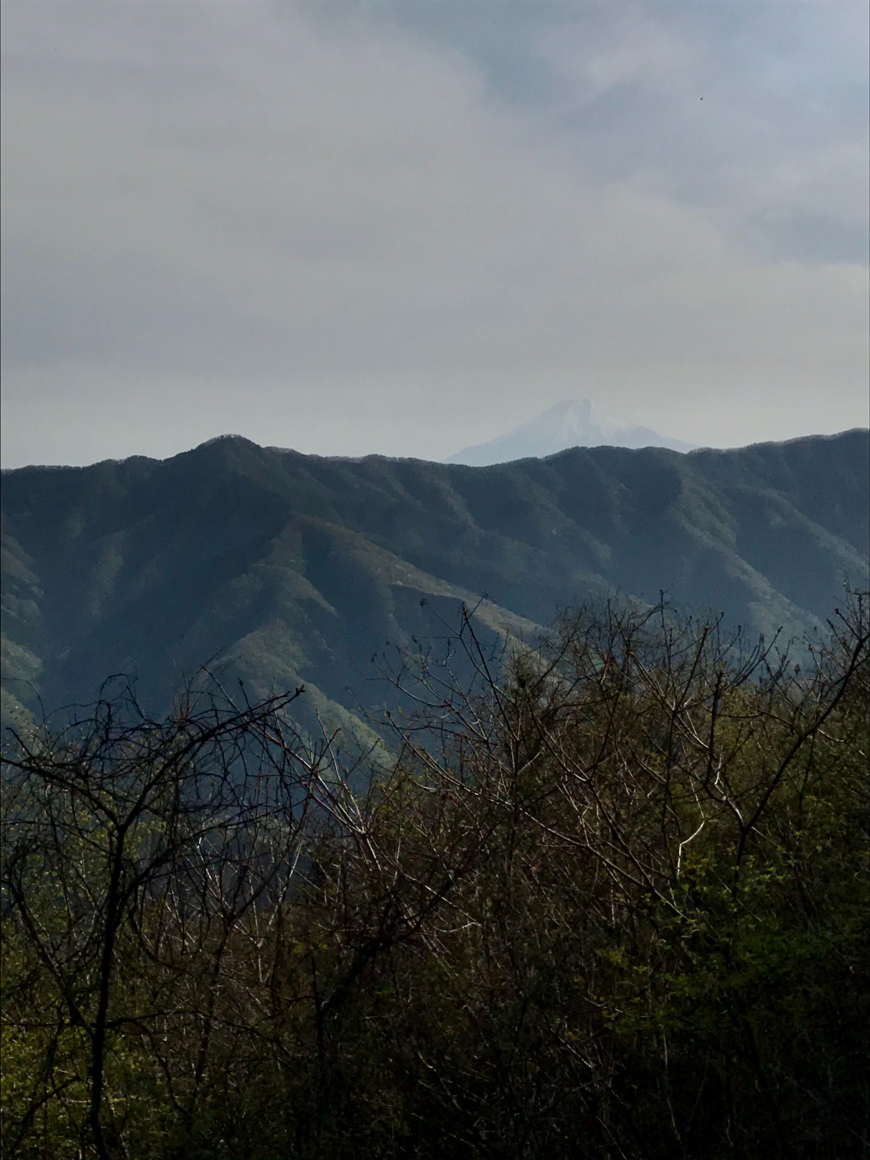 f:id:hatakofuru:20210428085613j:plain