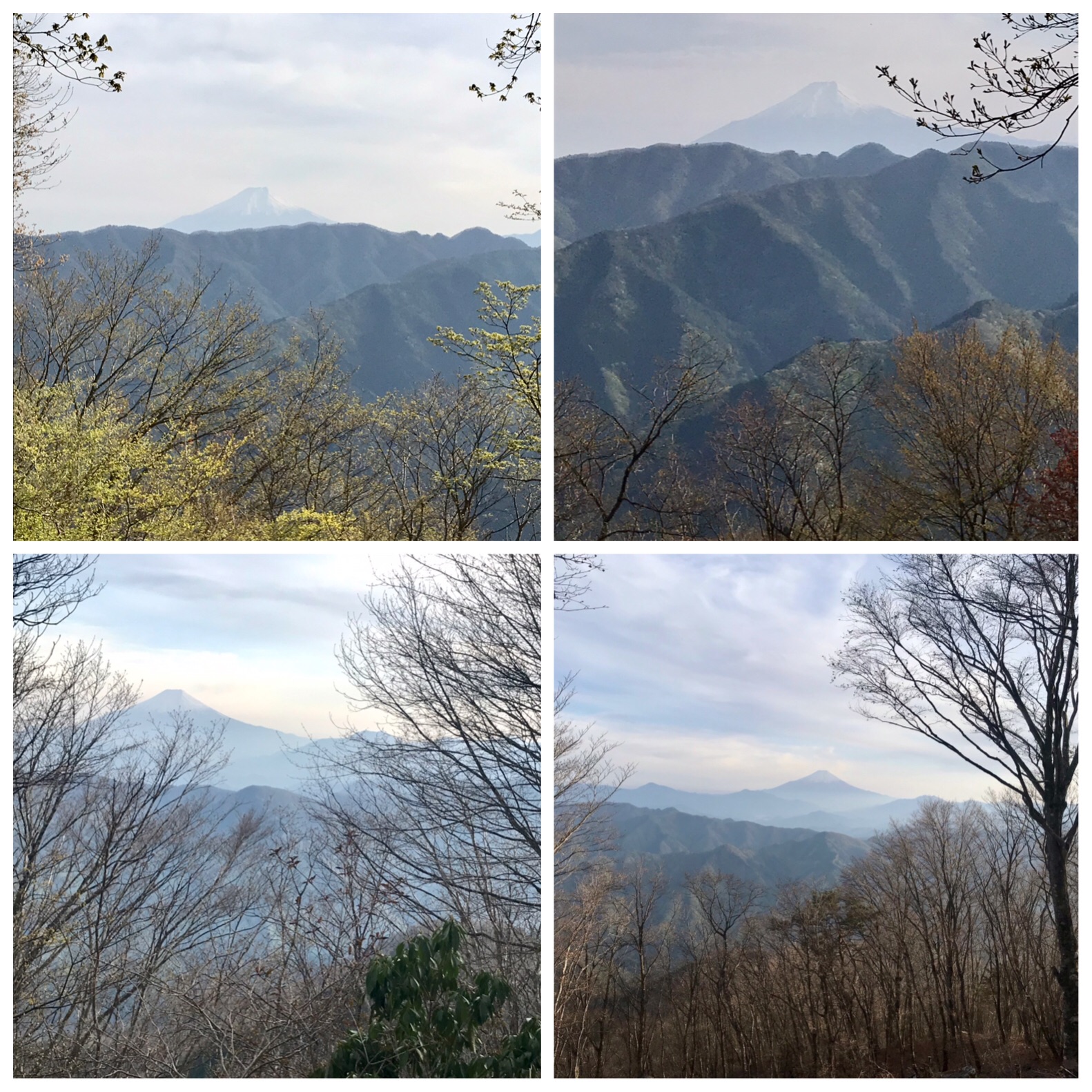 f:id:hatakofuru:20210428085847j:plain