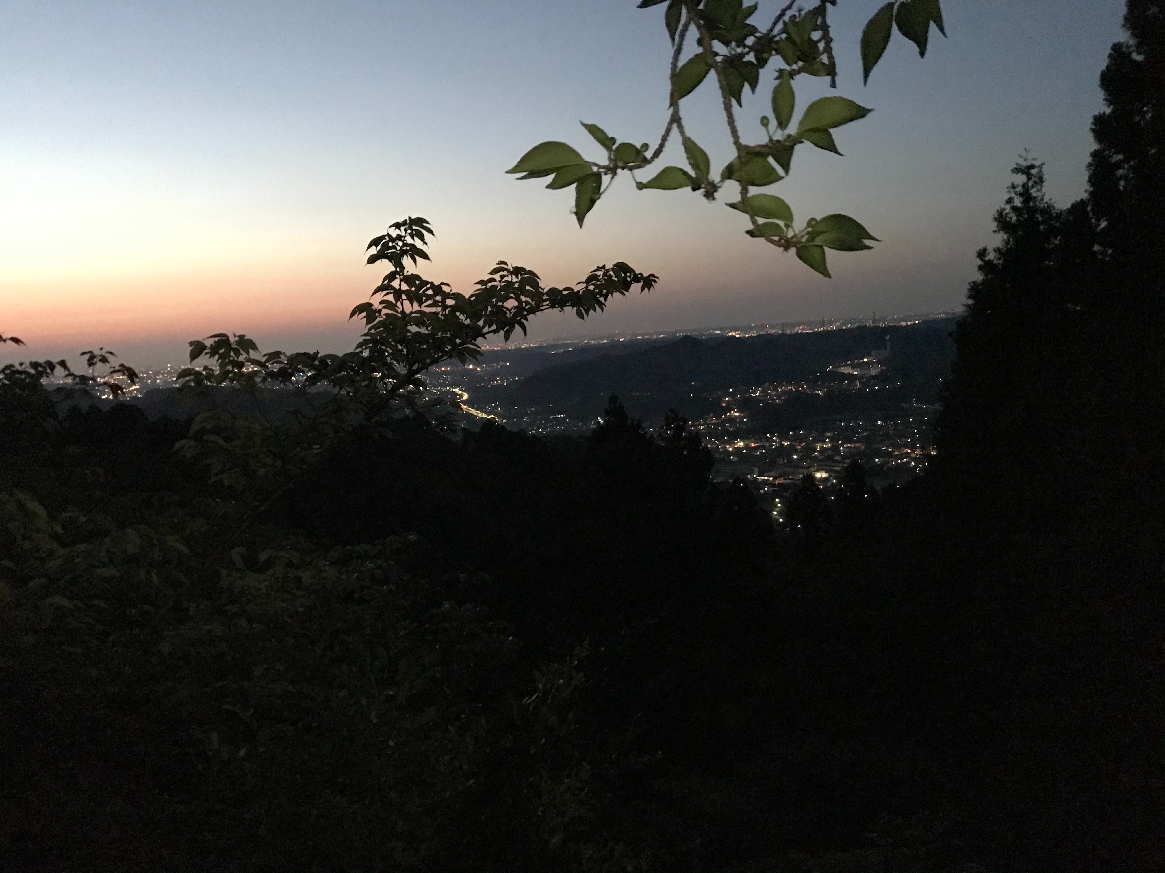 f:id:hatakofuru:20210429164032j:plain