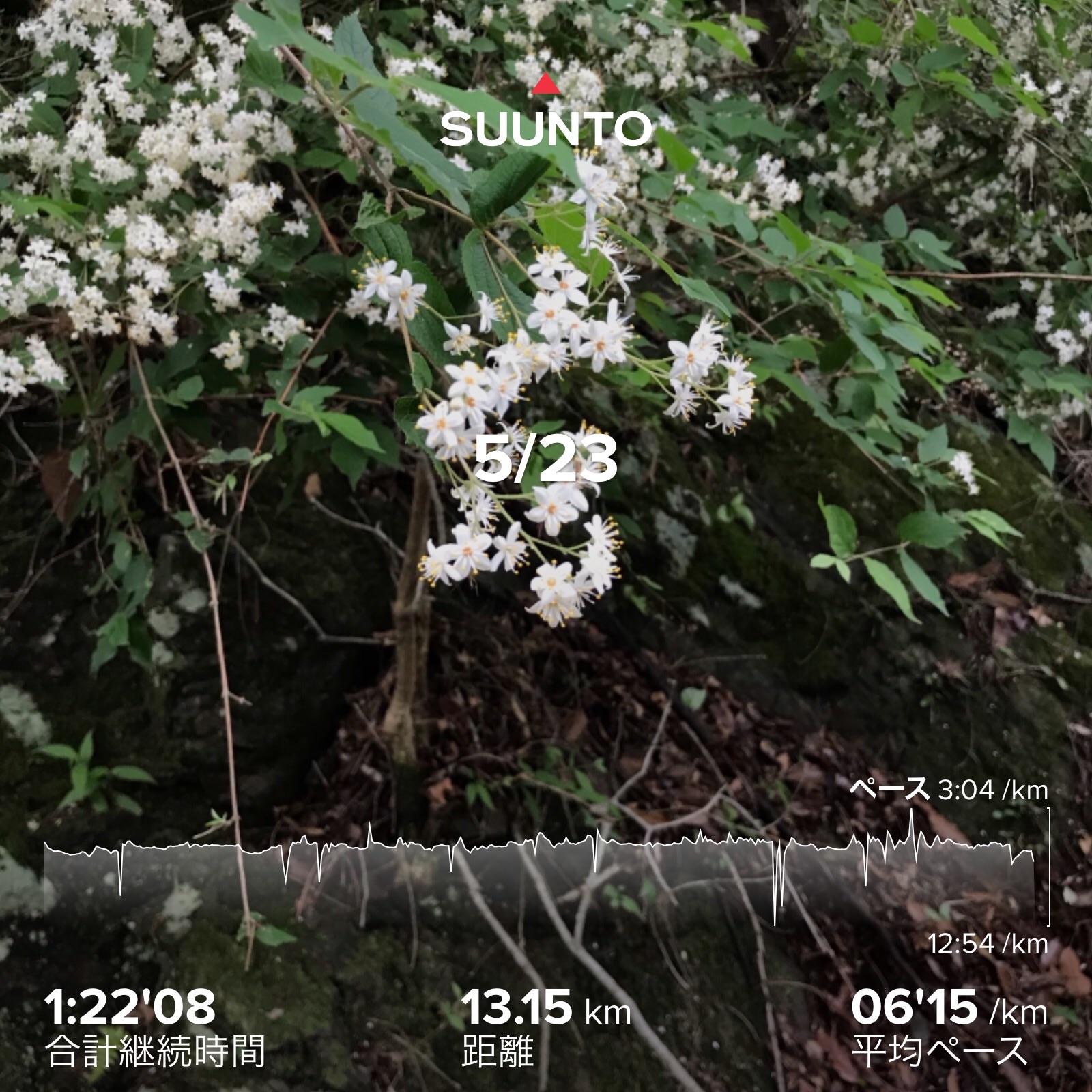 f:id:hatakofuru:20210527104918j:plain