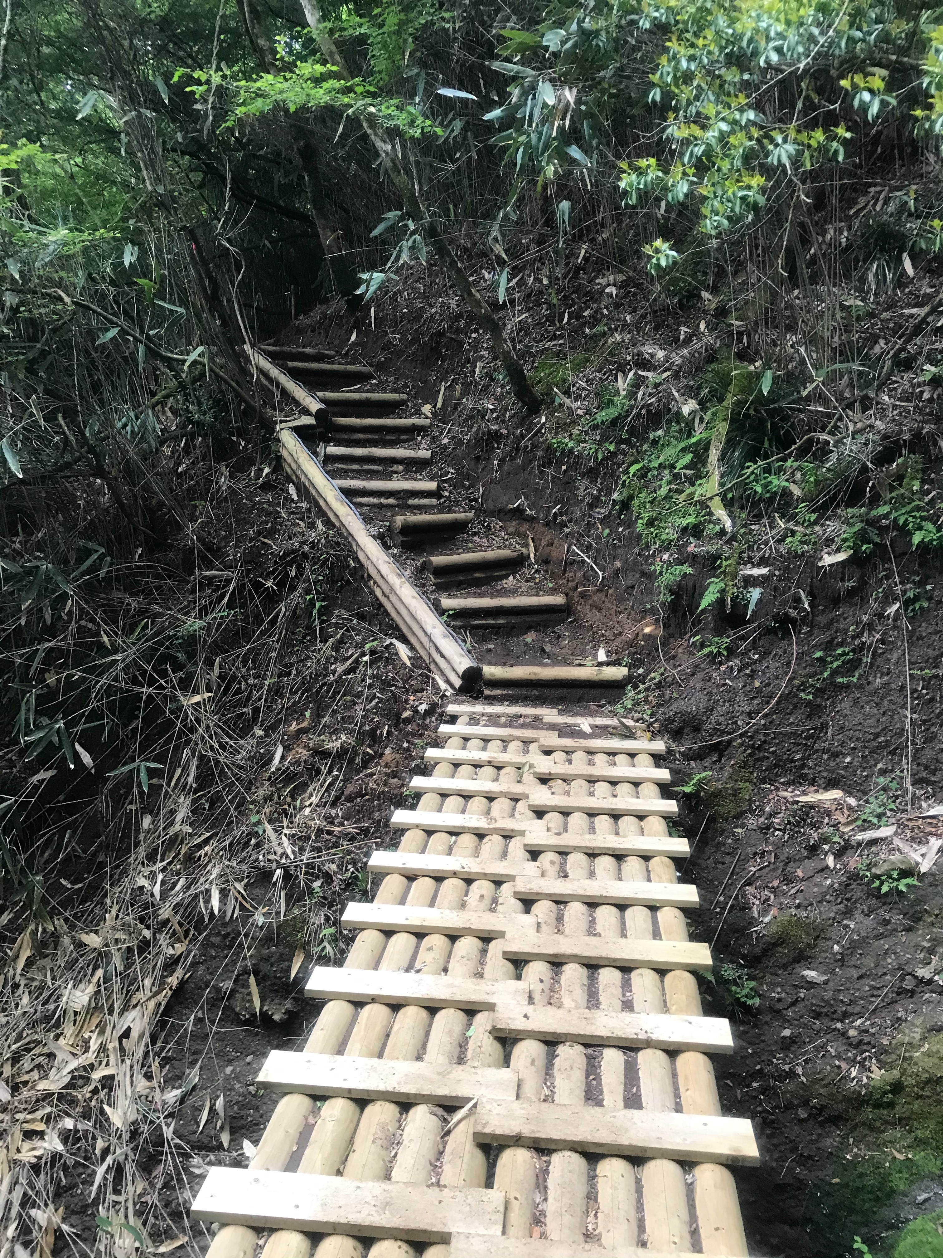 f:id:hatakofuru:20210607075643j:plain