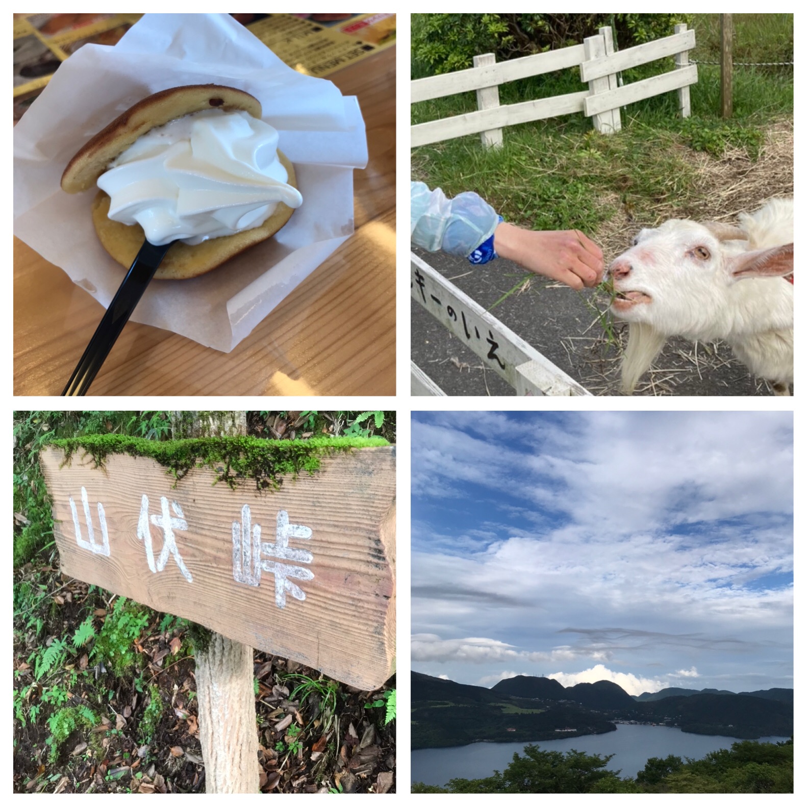 f:id:hatakofuru:20210607083023j:plain