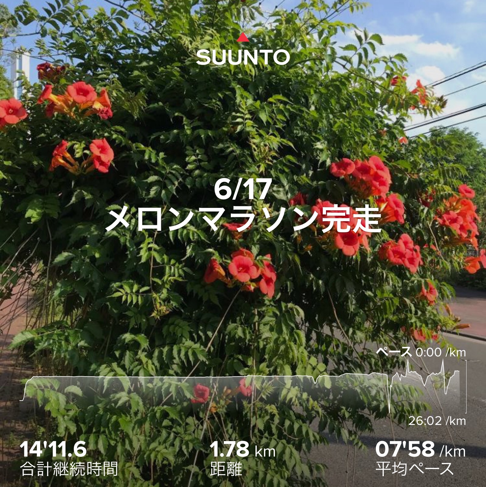 f:id:hatakofuru:20210621073546j:plain