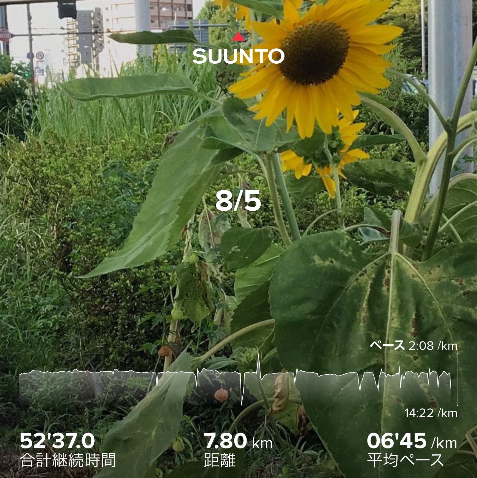 f:id:hatakofuru:20210811221029j:plain