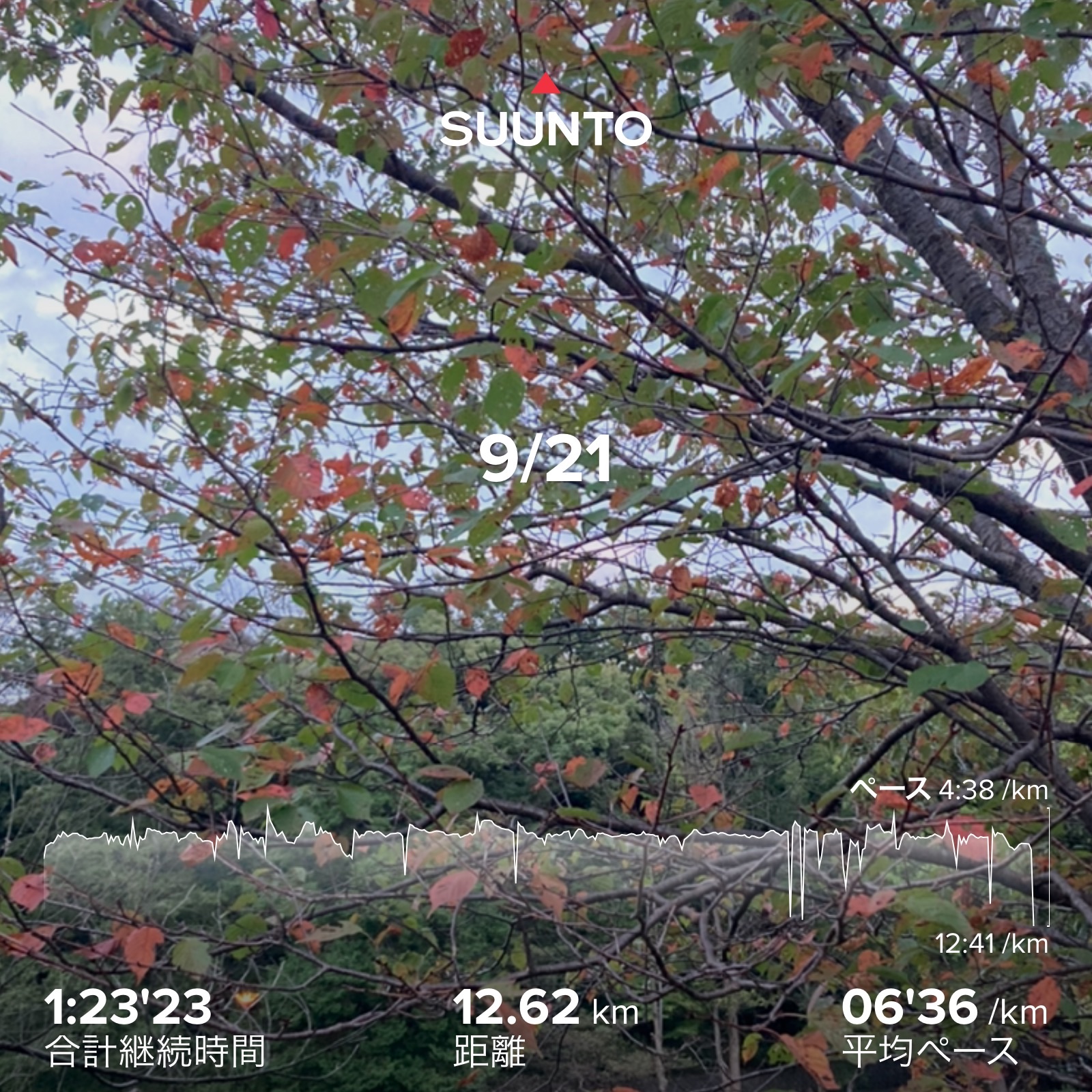 f:id:hatakofuru:20210924112806j:plain