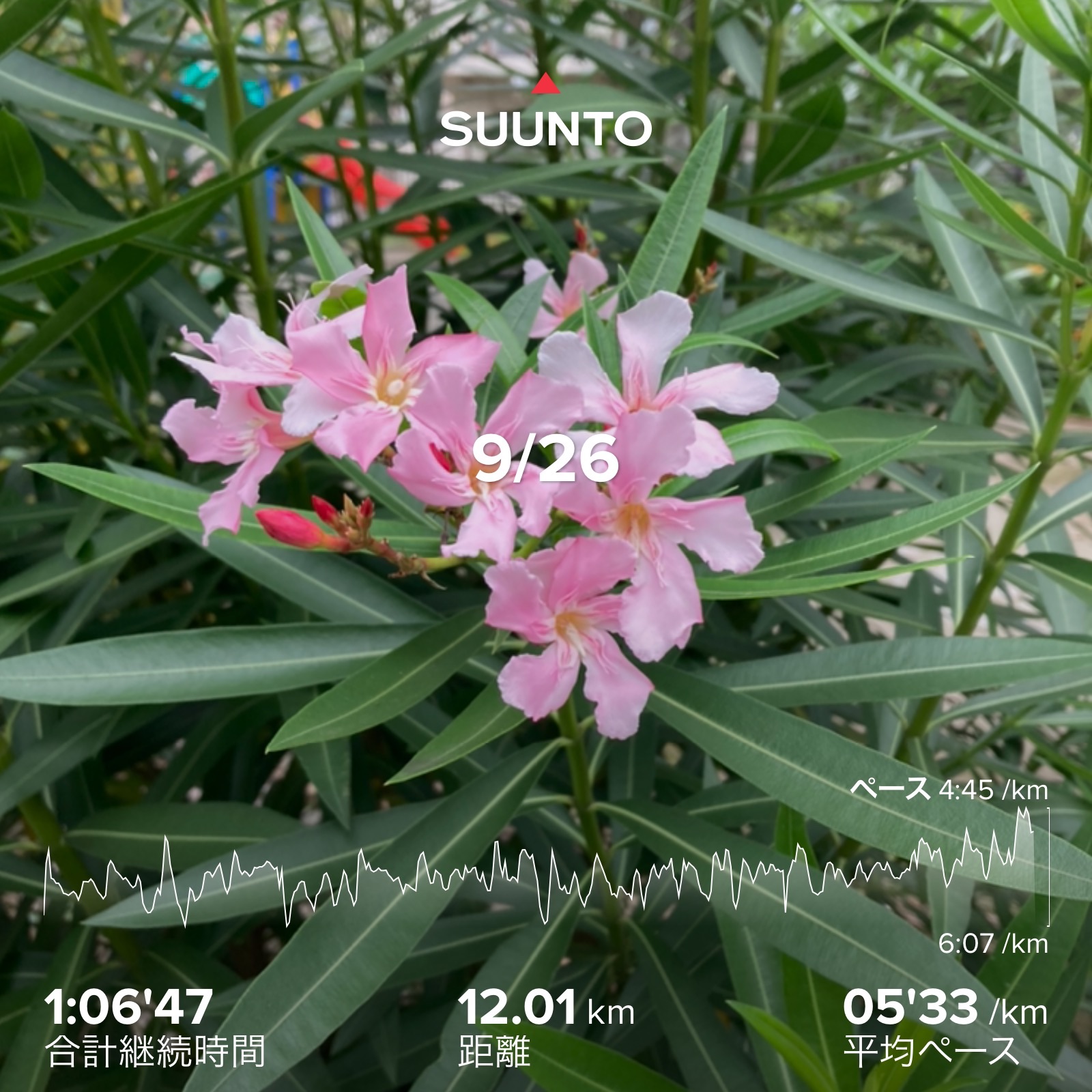 f:id:hatakofuru:20210929081401j:plain