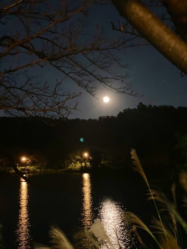 f:id:hatakofuru:20211025091541j:plain