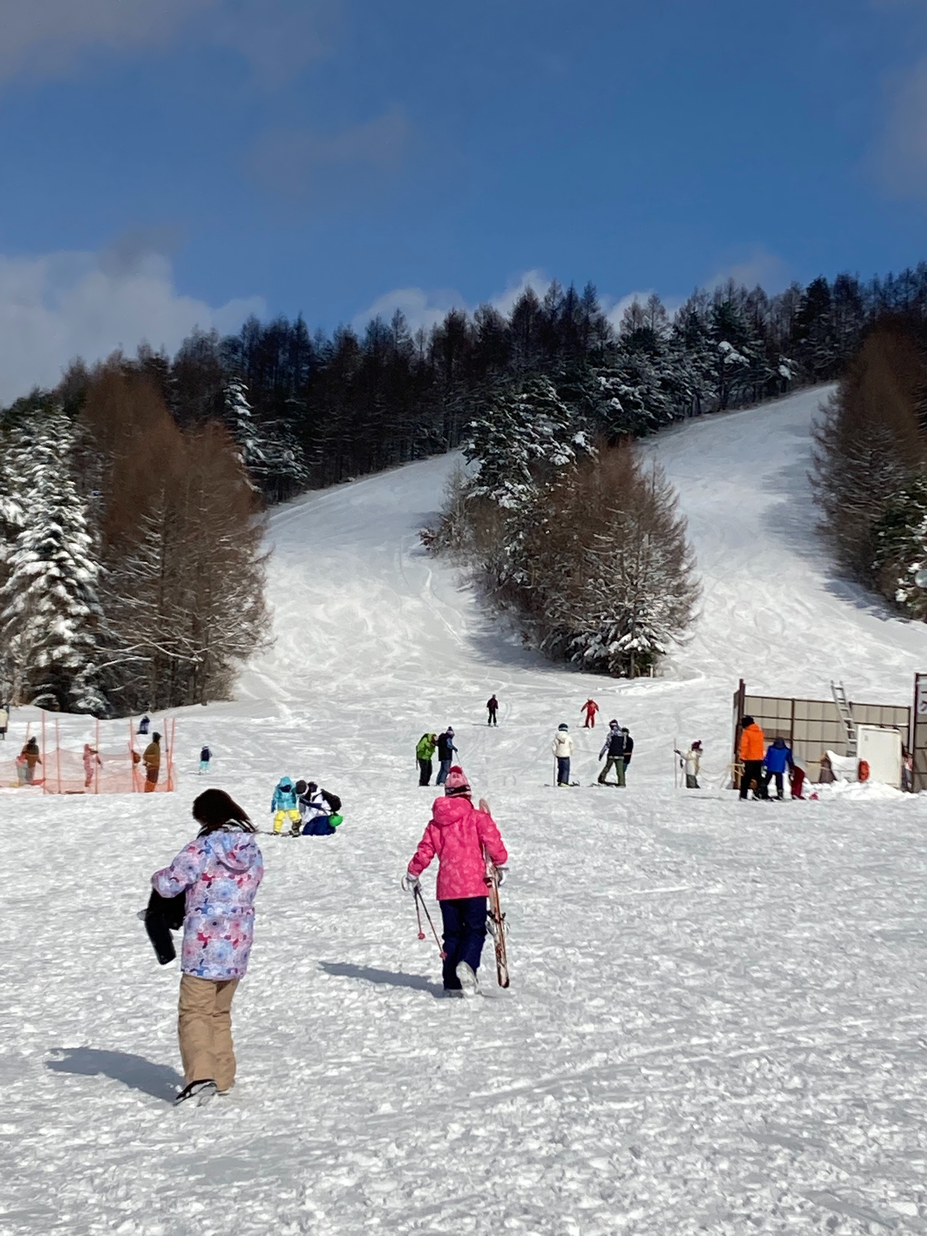 f:id:hatakofuru:20220108224558j:plain
