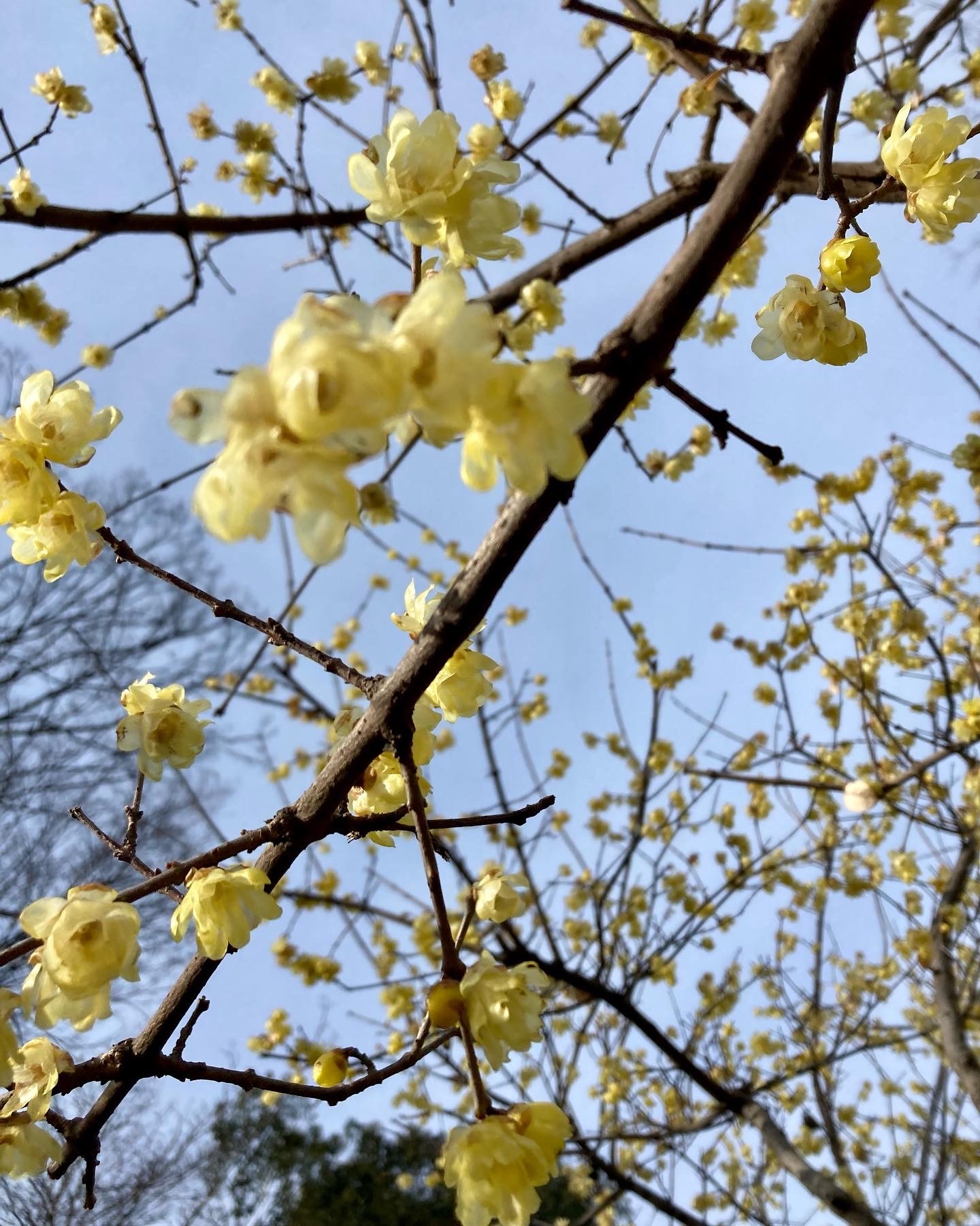 f:id:hatakofuru:20220214075131j:plain