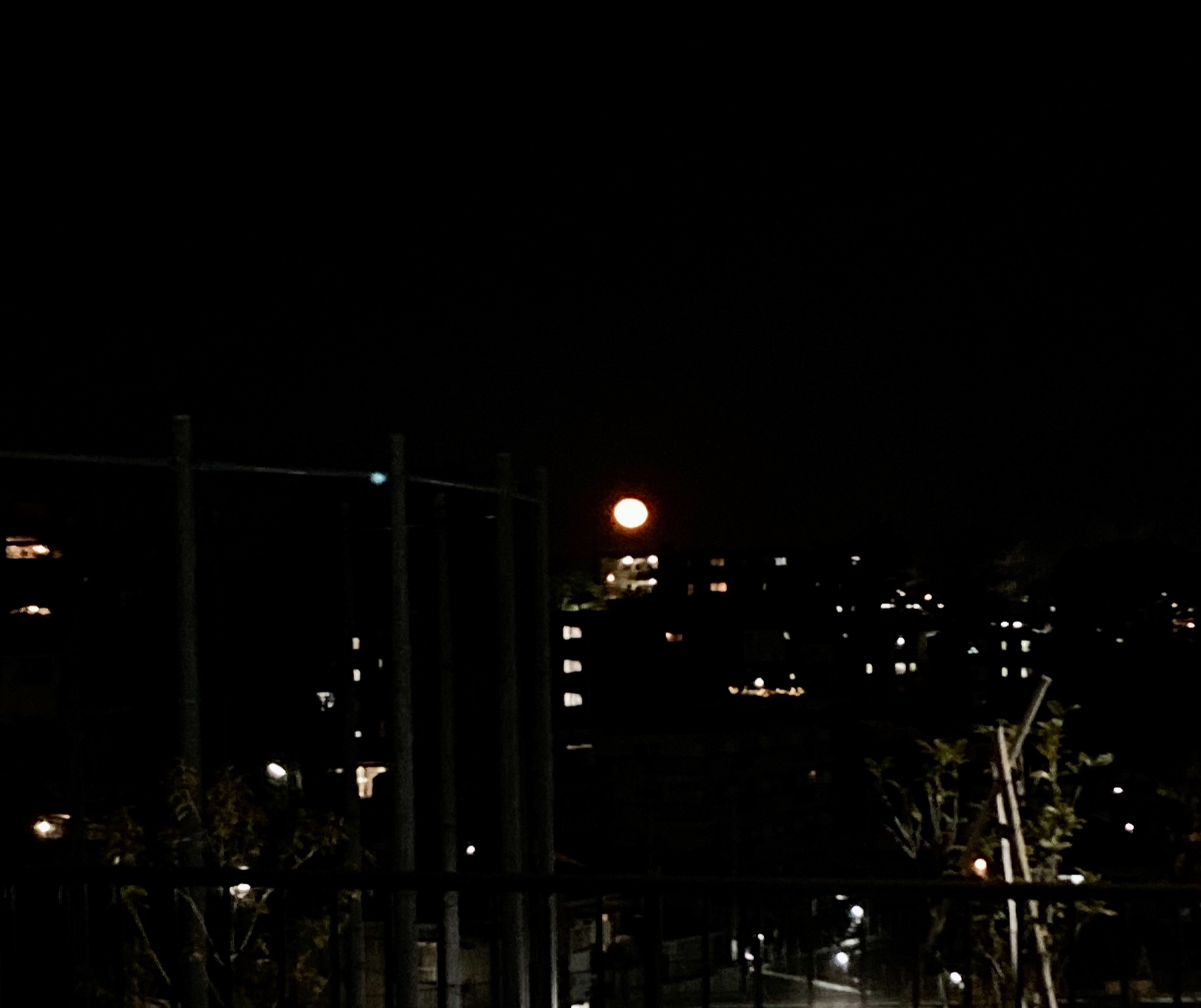f:id:hatakofuru:20220220102208j:plain