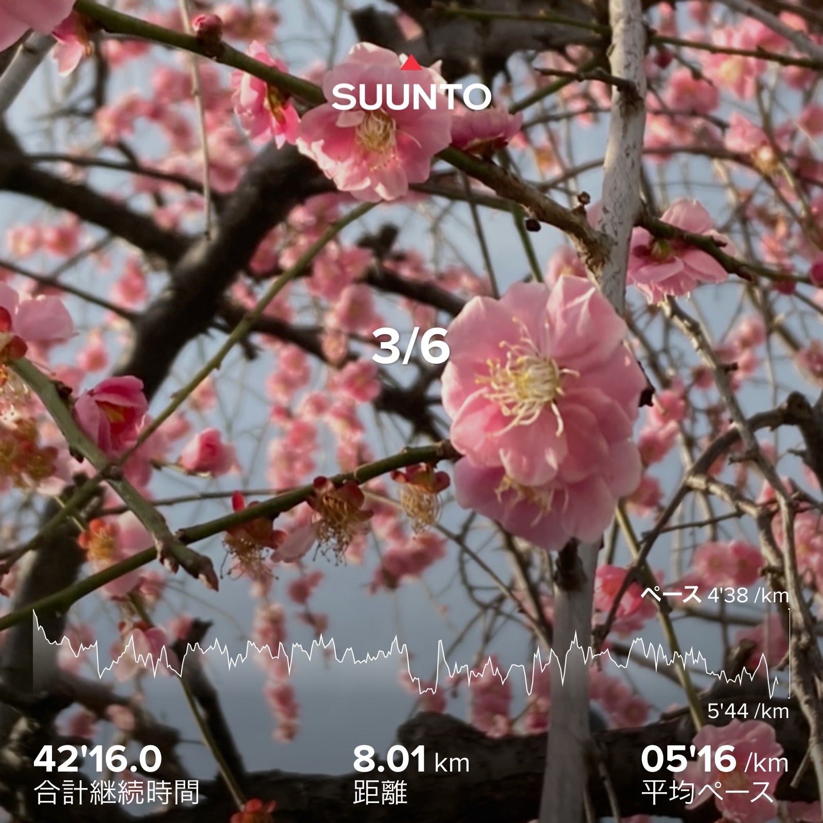 f:id:hatakofuru:20220307071728j:plain