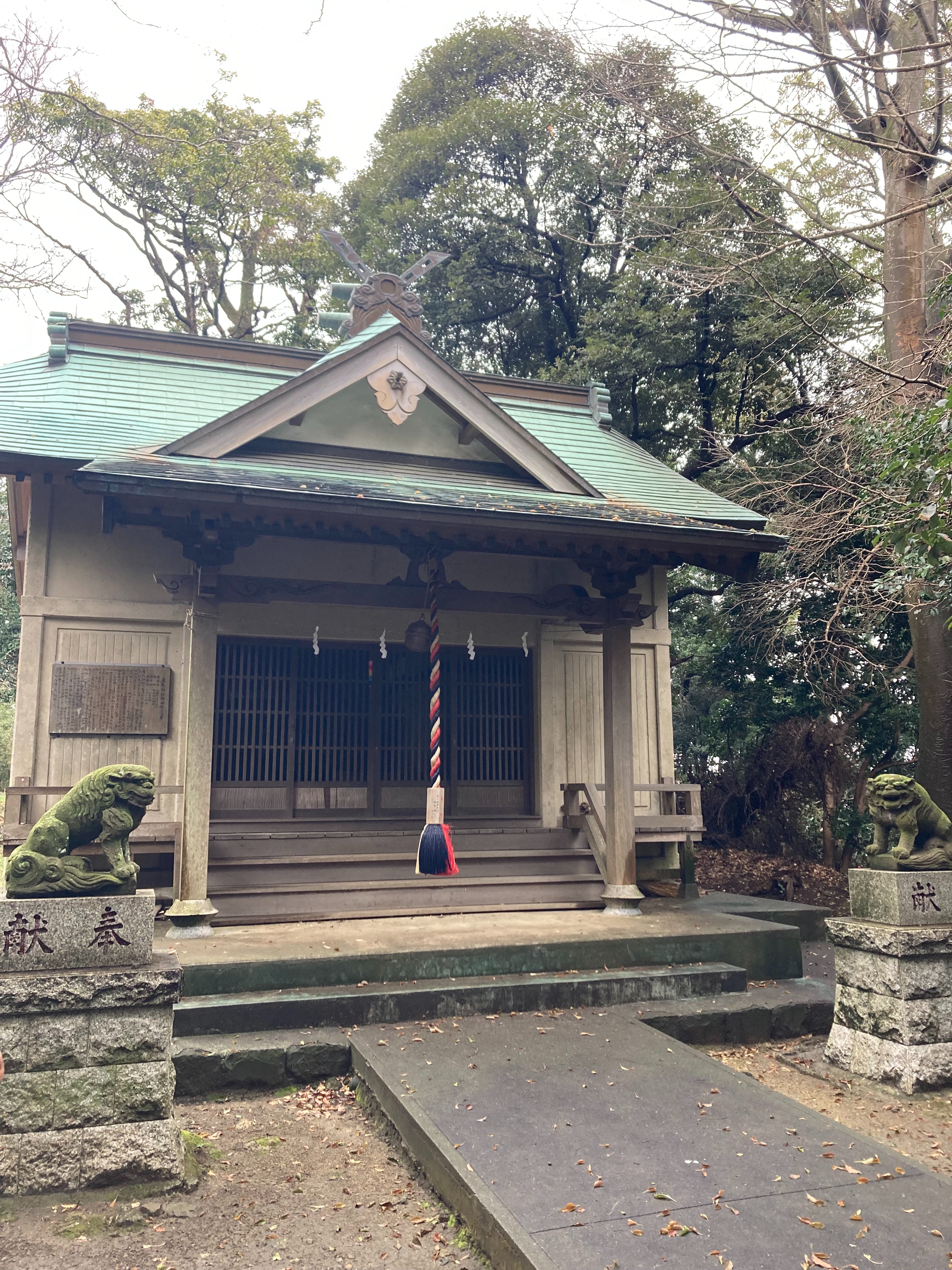 f:id:hatakofuru:20220322184725j:plain