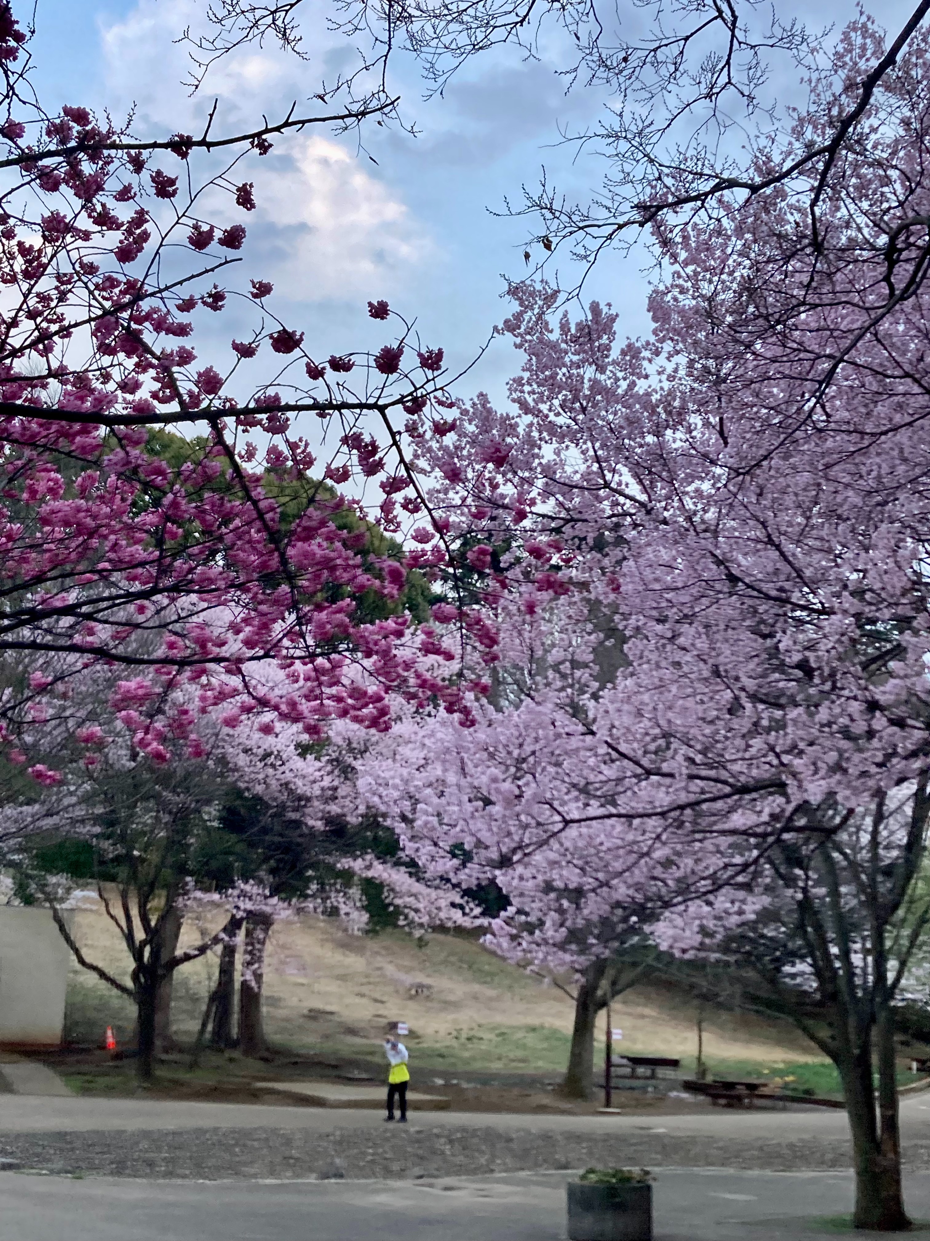 f:id:hatakofuru:20220404074917j:plain