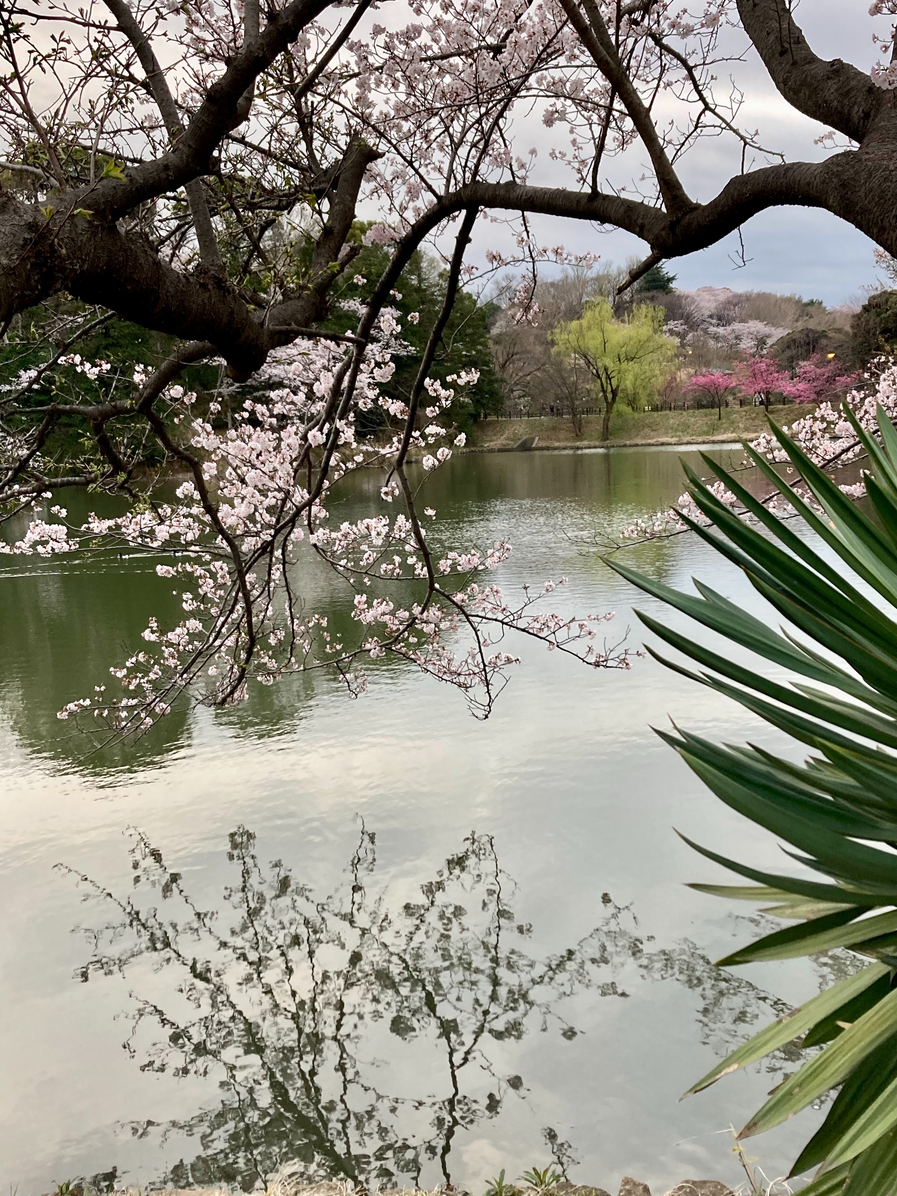 f:id:hatakofuru:20220404074926j:plain