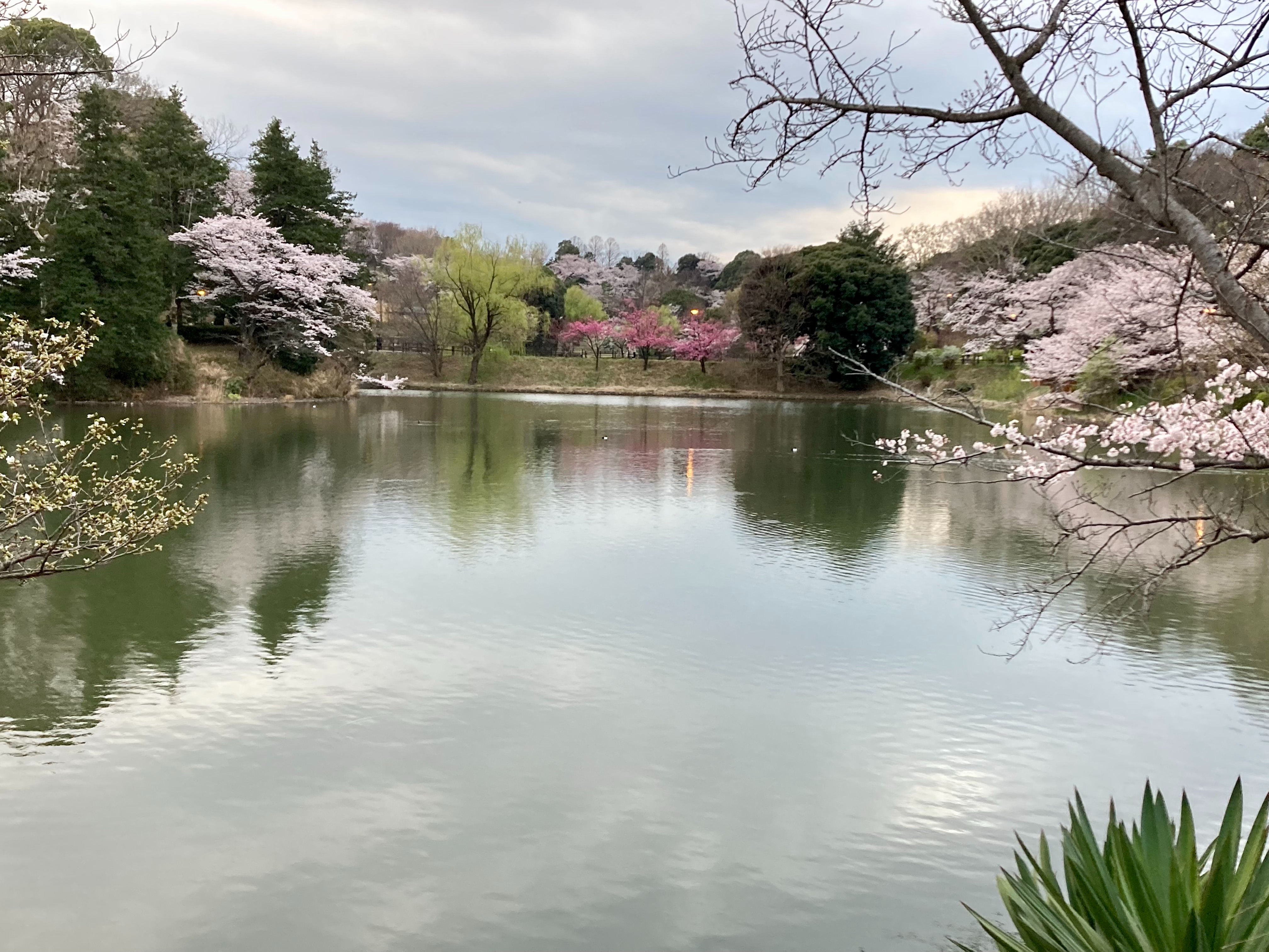 f:id:hatakofuru:20220404074935j:plain