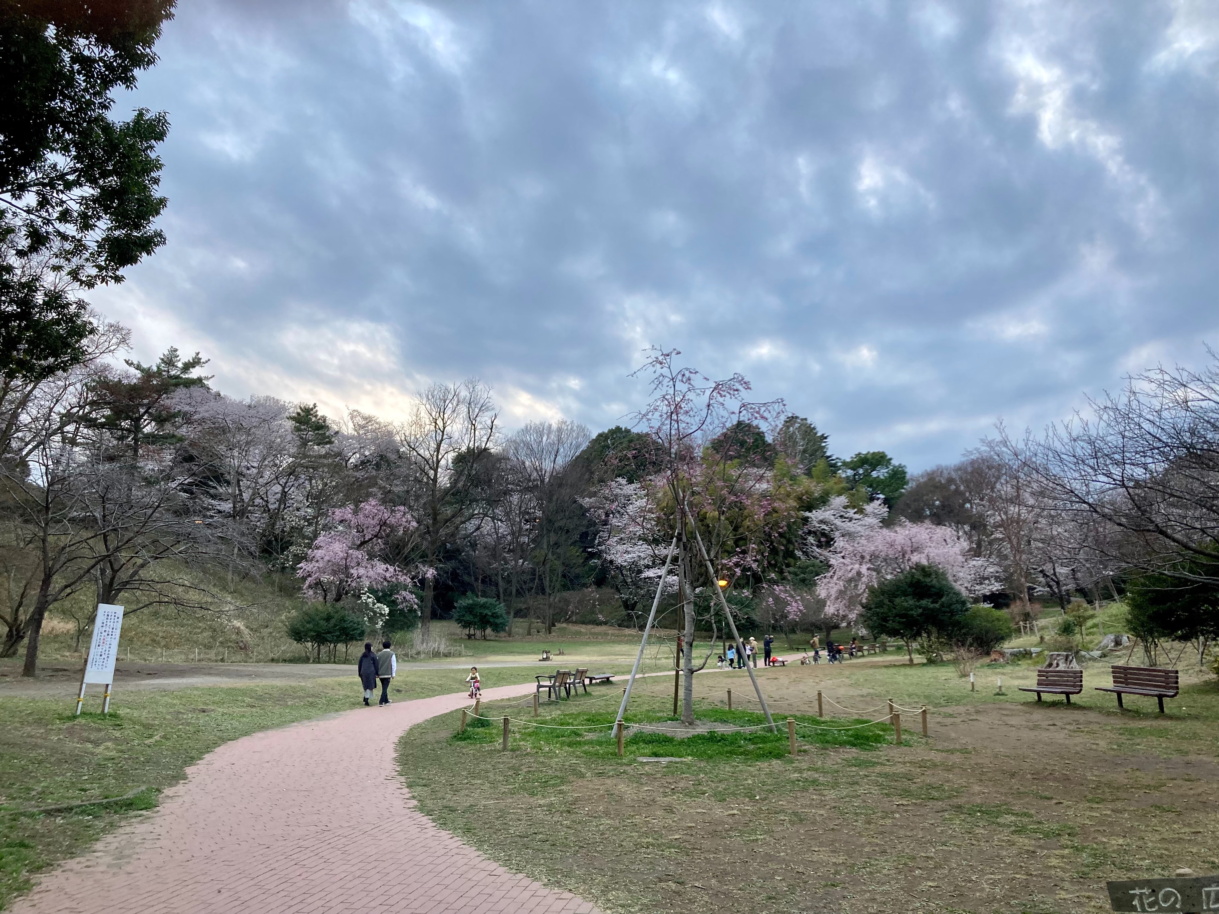 f:id:hatakofuru:20220404074946j:plain