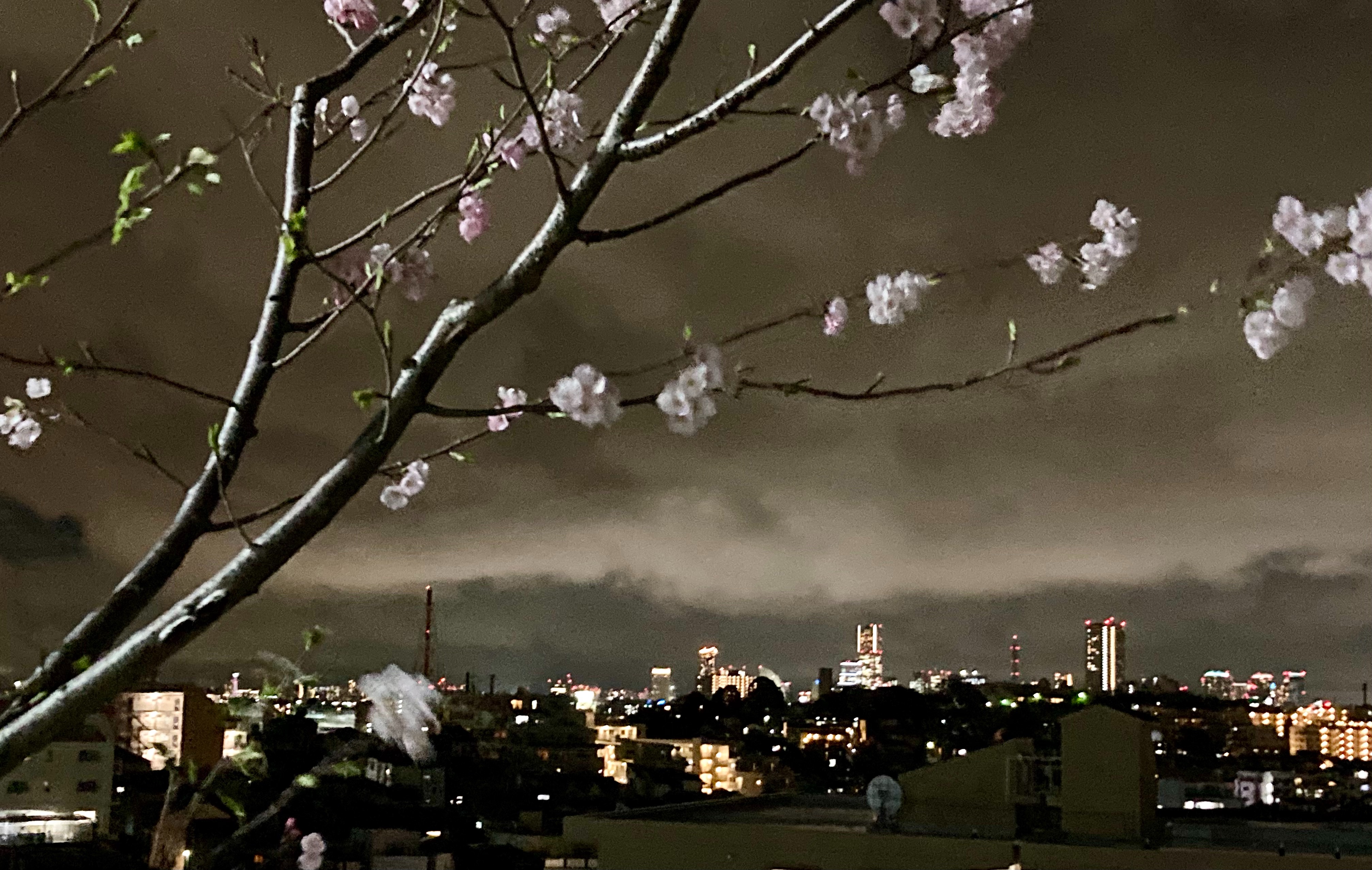 f:id:hatakofuru:20220404075234j:plain