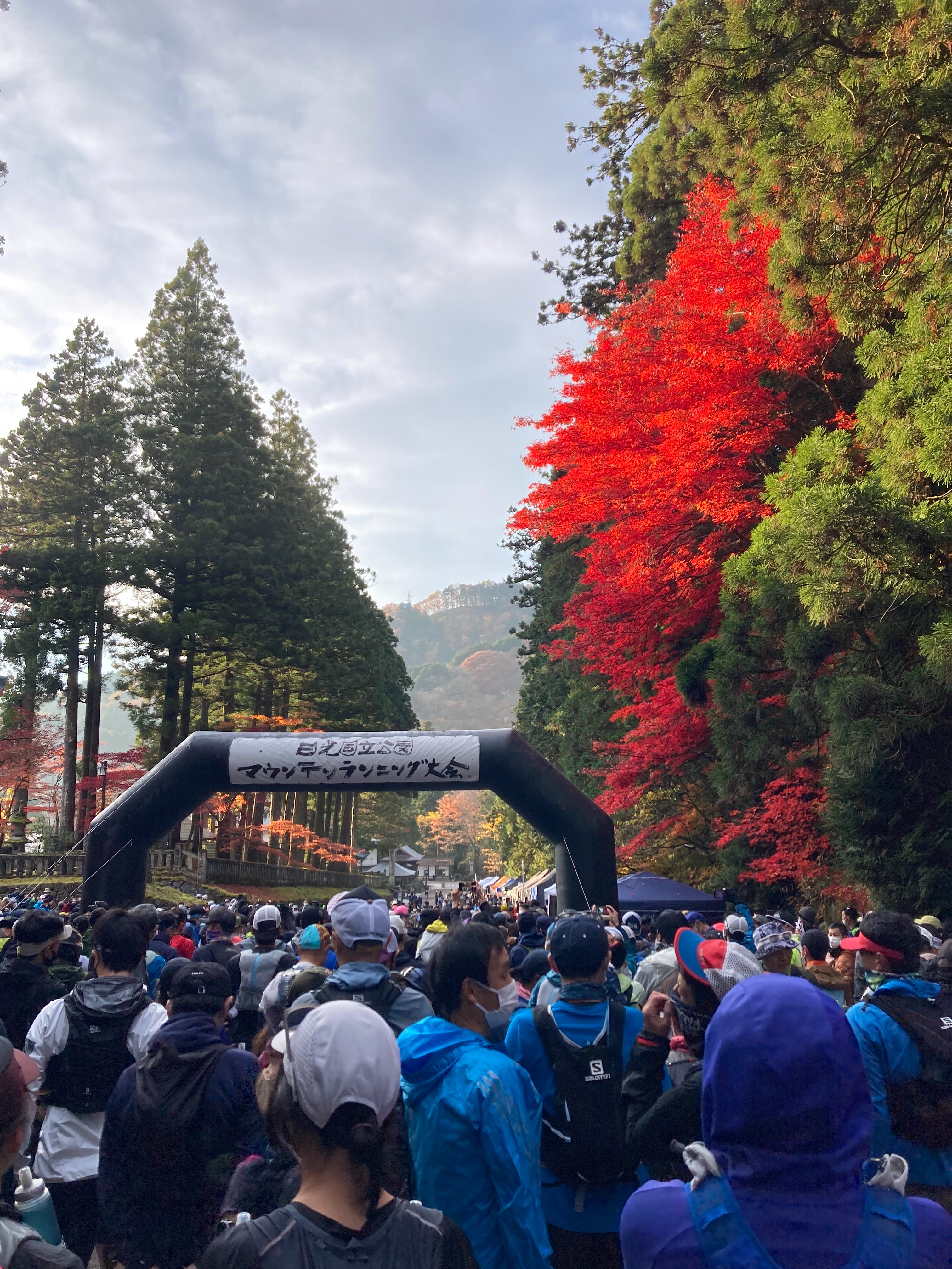 f:id:hatakofuru:20221115200244j:image f:id:hatakofuru:20221115200244j:image