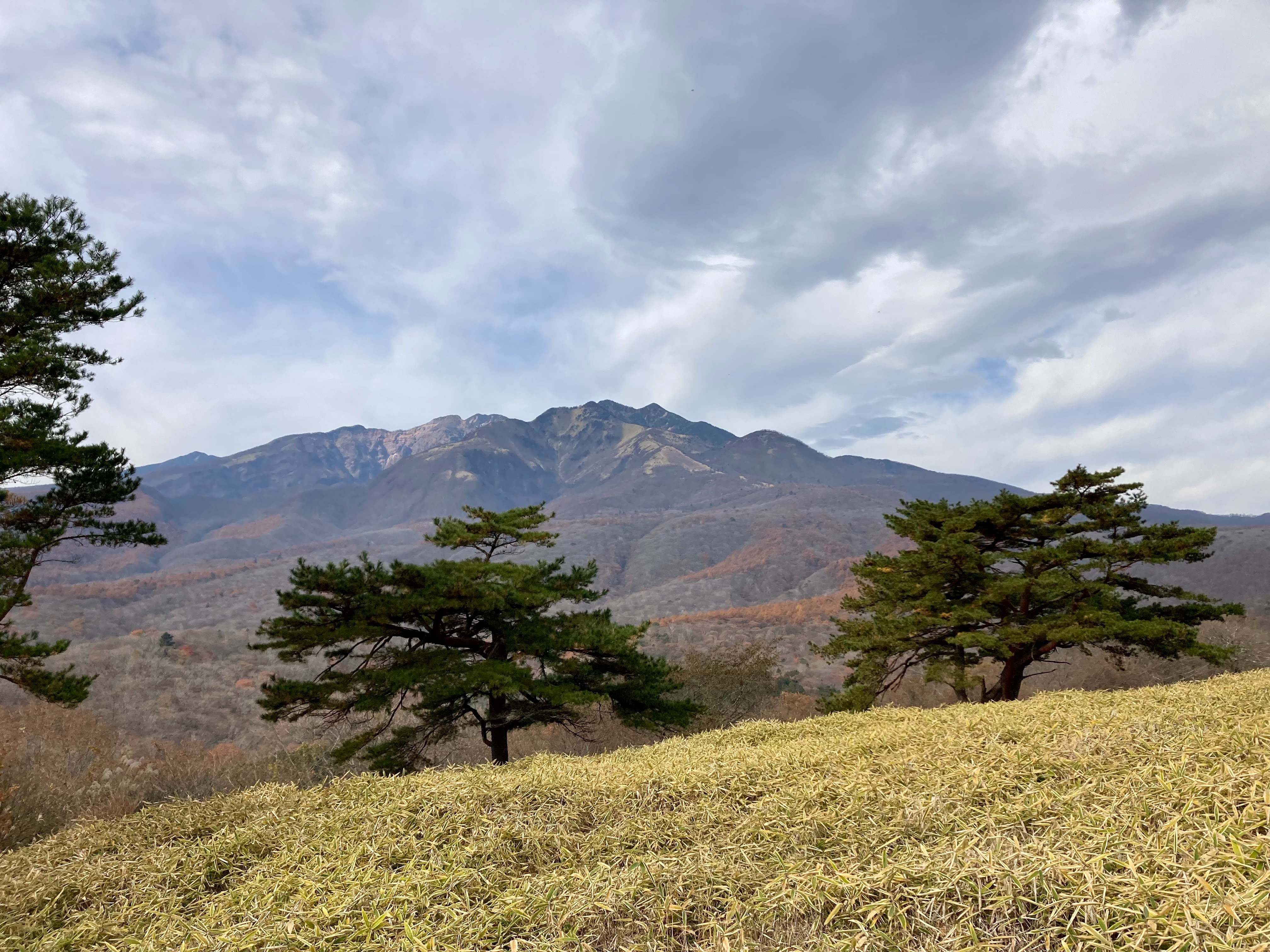 f:id:hatakofuru:20221115201348j:image f:id:hatakofuru:20221115201348j:image