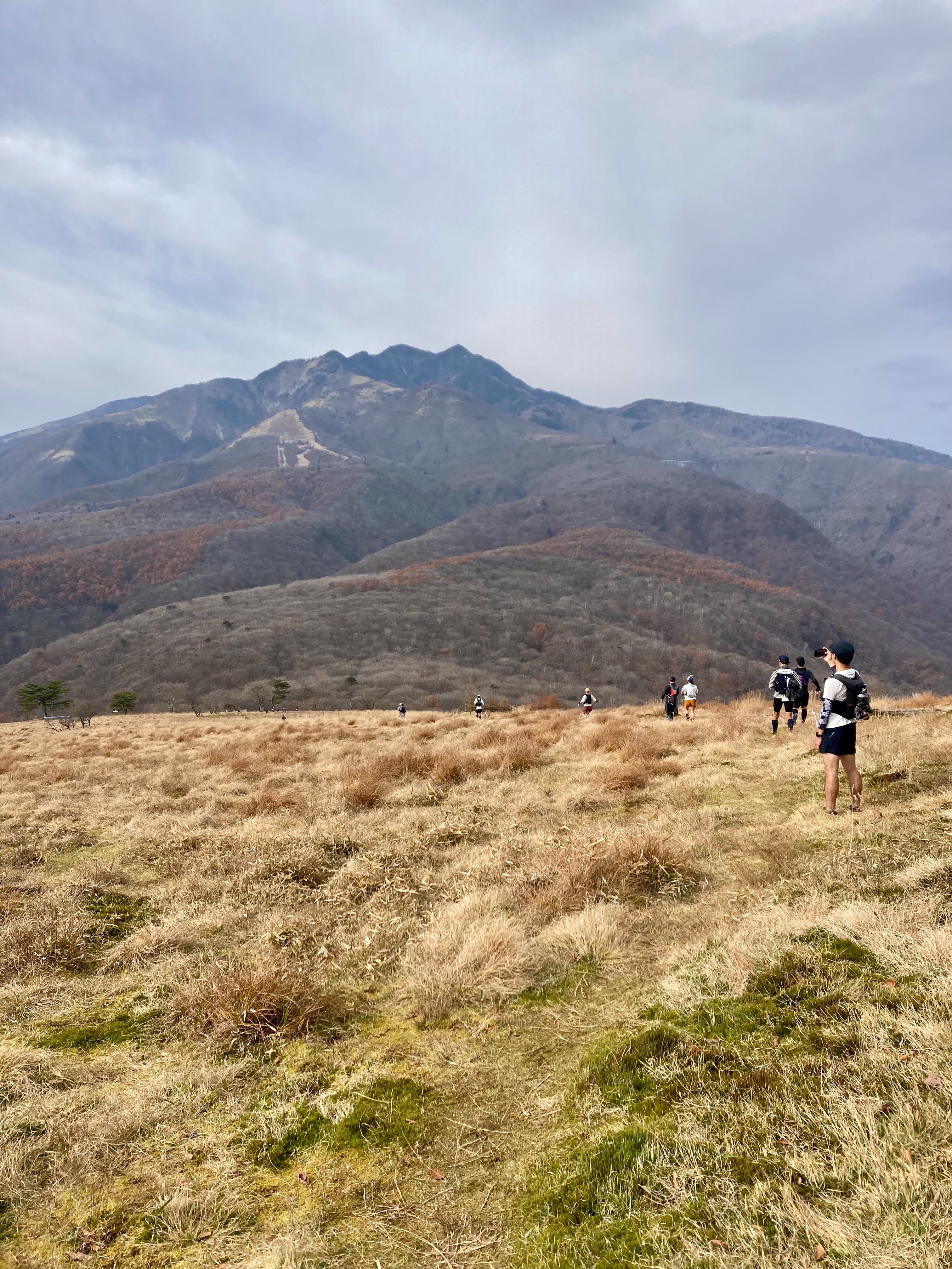 f:id:hatakofuru:20221115201629j:image f:id:hatakofuru:20221115201629j:image