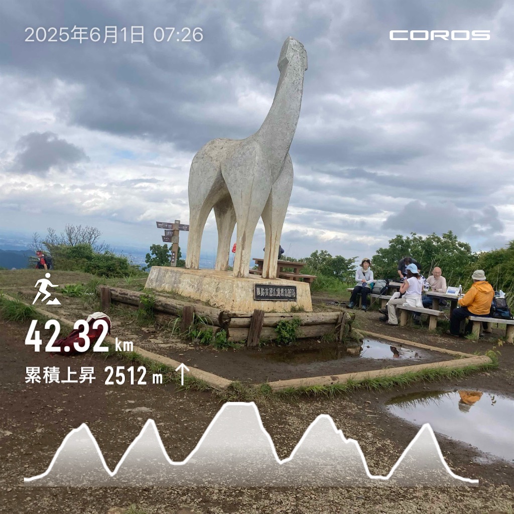 f:id:hatakofuru:20250620074627j:image f:id:hatakofuru:20250620074627j:image