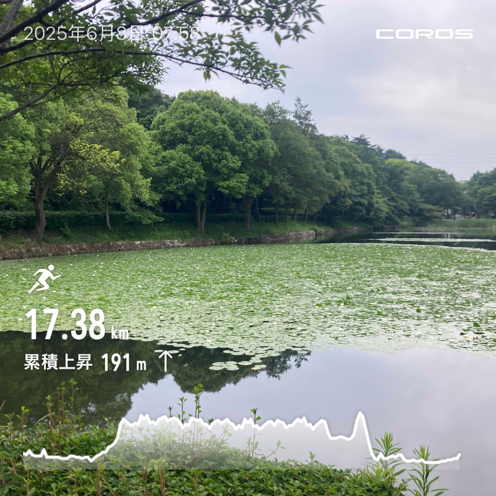 f:id:hatakofuru:20250620075801j:image f:id:hatakofuru:20250620075801j:image
