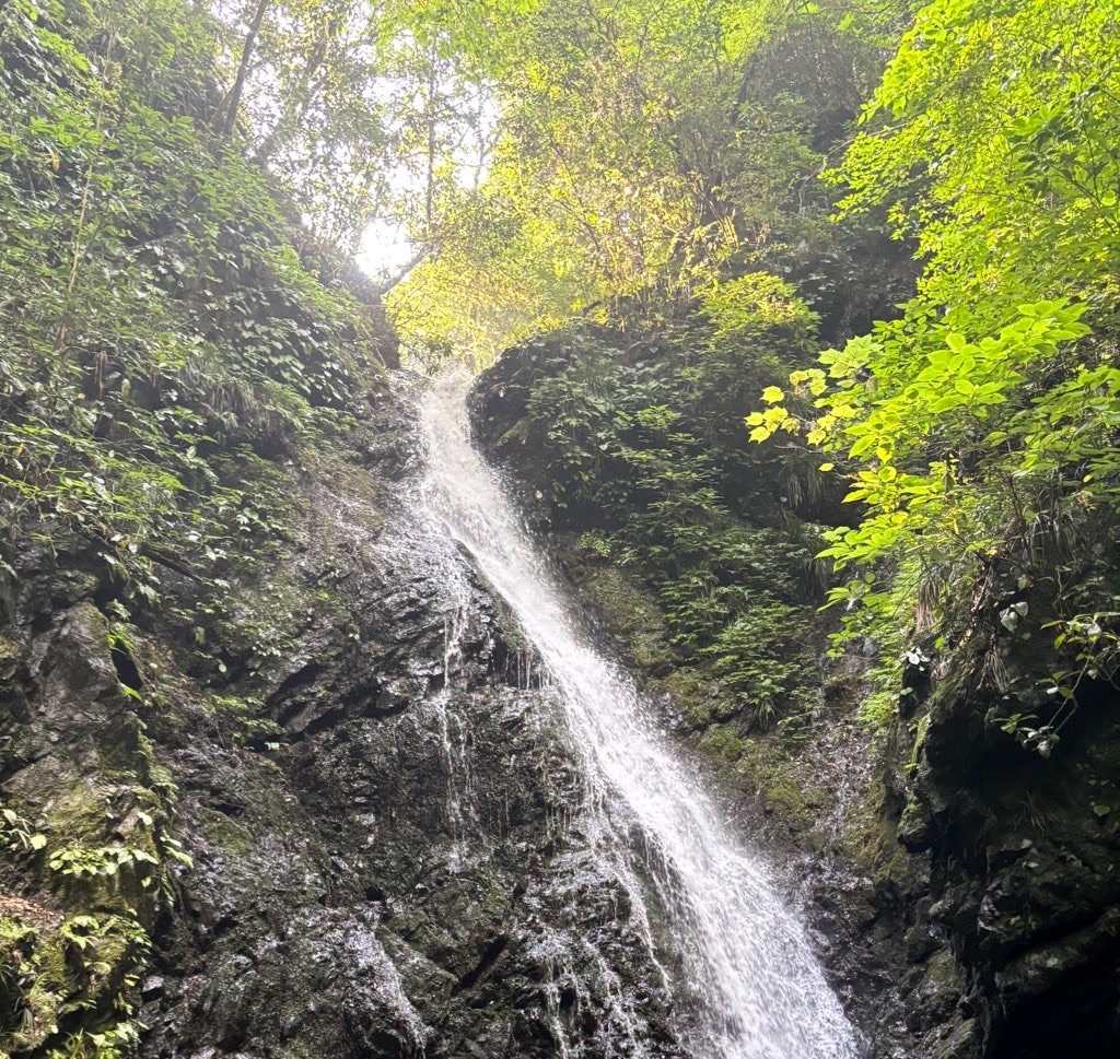 f:id:hatakofuru:20250714074754j:image f:id:hatakofuru:20250714074754j:image