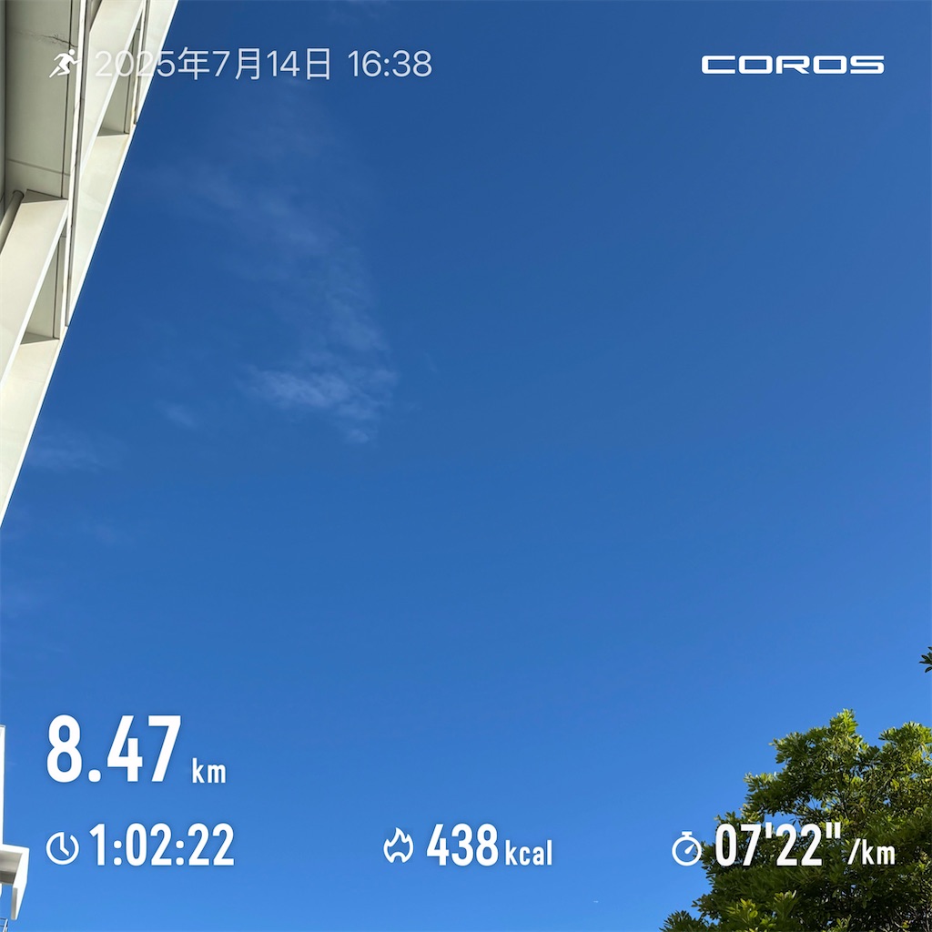 f:id:hatakofuru:20250715071956j:image f:id:hatakofuru:20250715071956j:image
