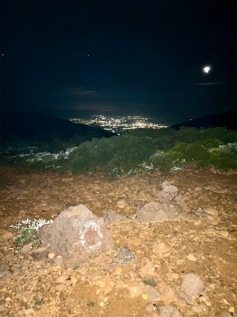 f:id:hatakofuru:20250729070052j:image f:id:hatakofuru:20250729070052j:image