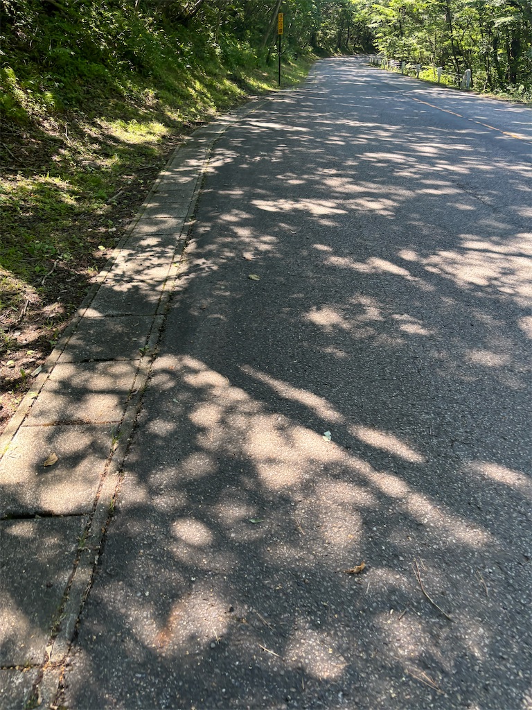 f:id:hatakofuru:20250729074346j:image f:id:hatakofuru:20250729074346j:image