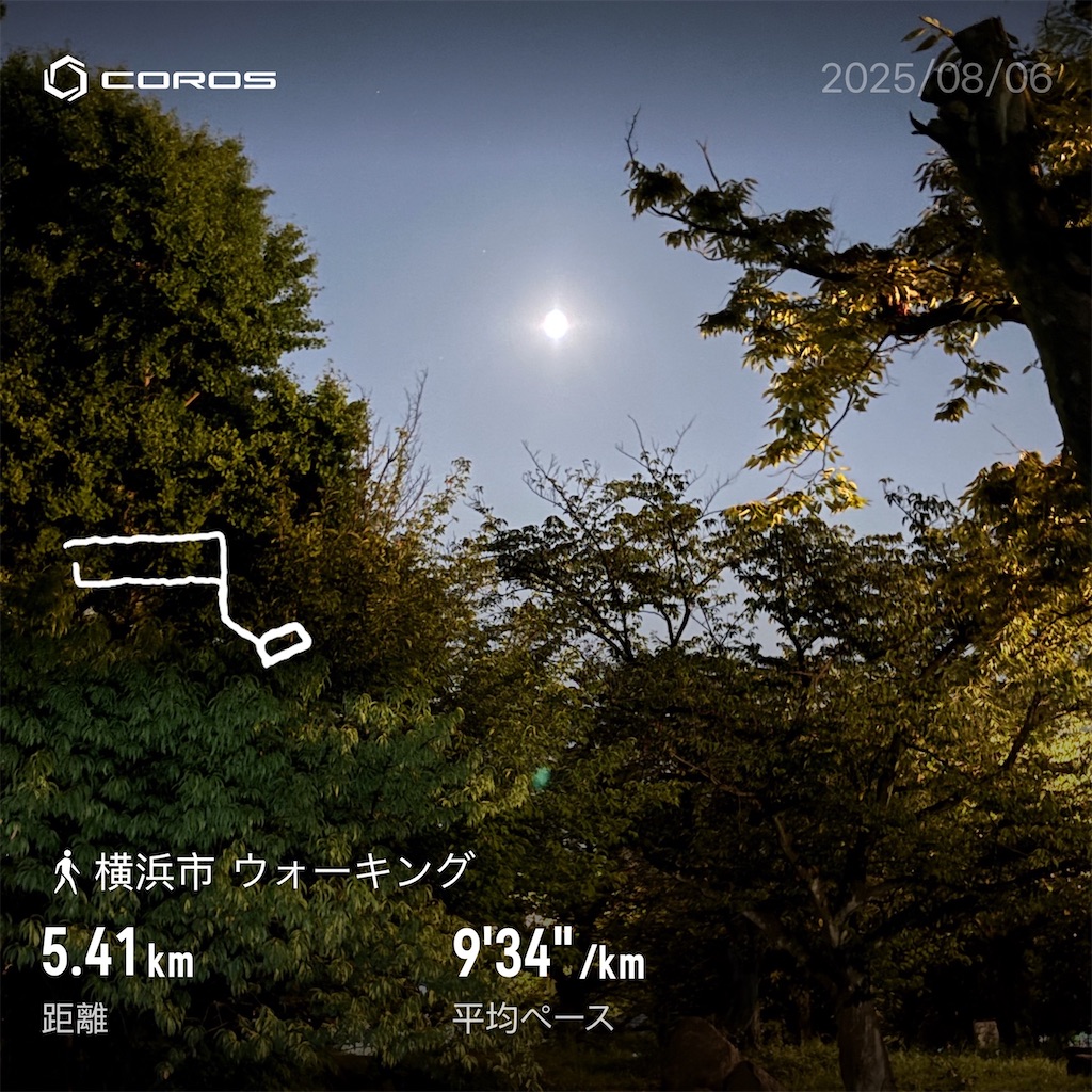 f:id:hatakofuru:20250812075924j:image f:id:hatakofuru:20250812075924j:image