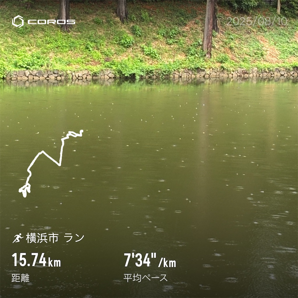 f:id:hatakofuru:20250812081331j:image f:id:hatakofuru:20250812081331j:image