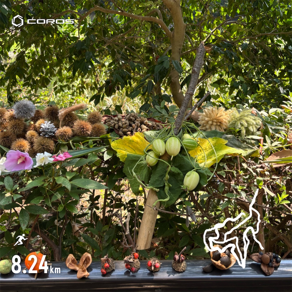 f:id:hatakofuru:20250901072539j:image