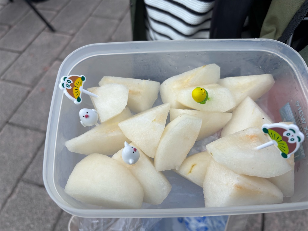 f:id:hatakofuru:20251015182221j:image f:id:hatakofuru:20251015182221j:image