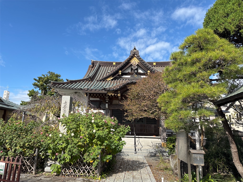 f:id:hatakofuru:20251107074918j:image