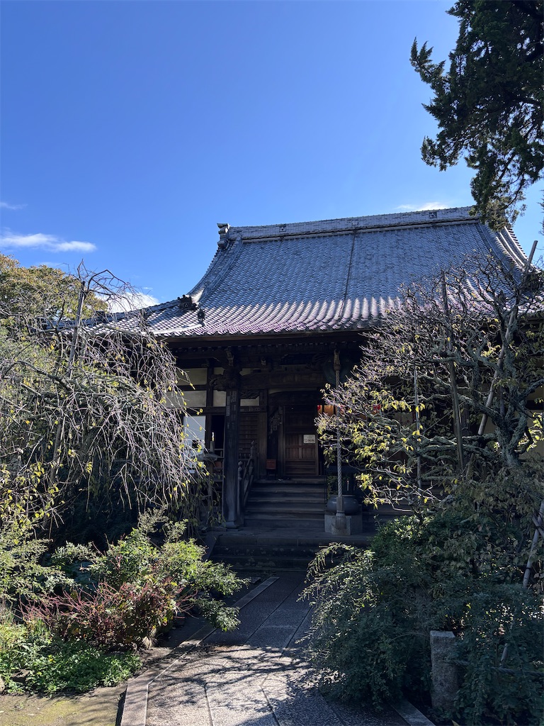 f:id:hatakofuru:20251107075310j:image
