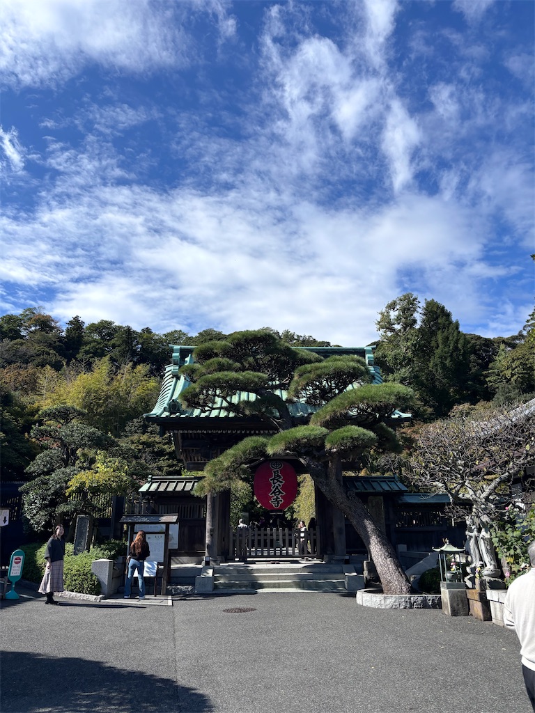 f:id:hatakofuru:20251107075701j:image