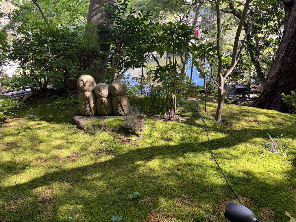 f:id:hatakofuru:20251107075704j:image