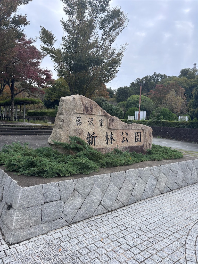 f:id:hatakofuru:20251109101607j:image