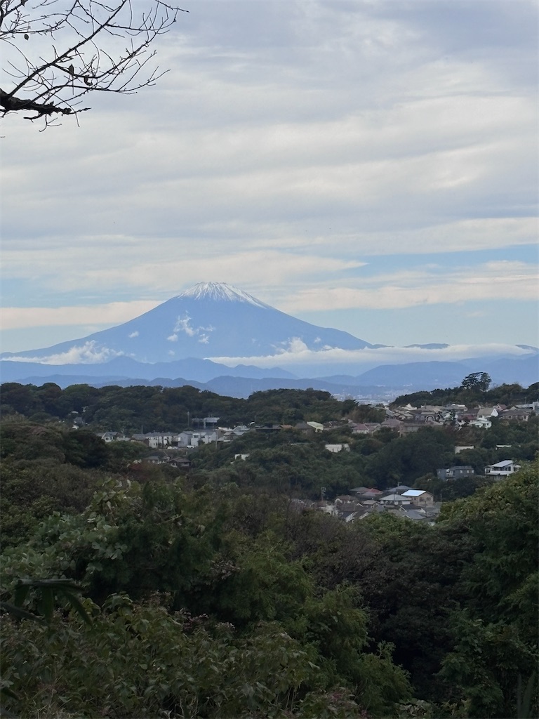 f:id:hatakofuru:20251109101623j:image